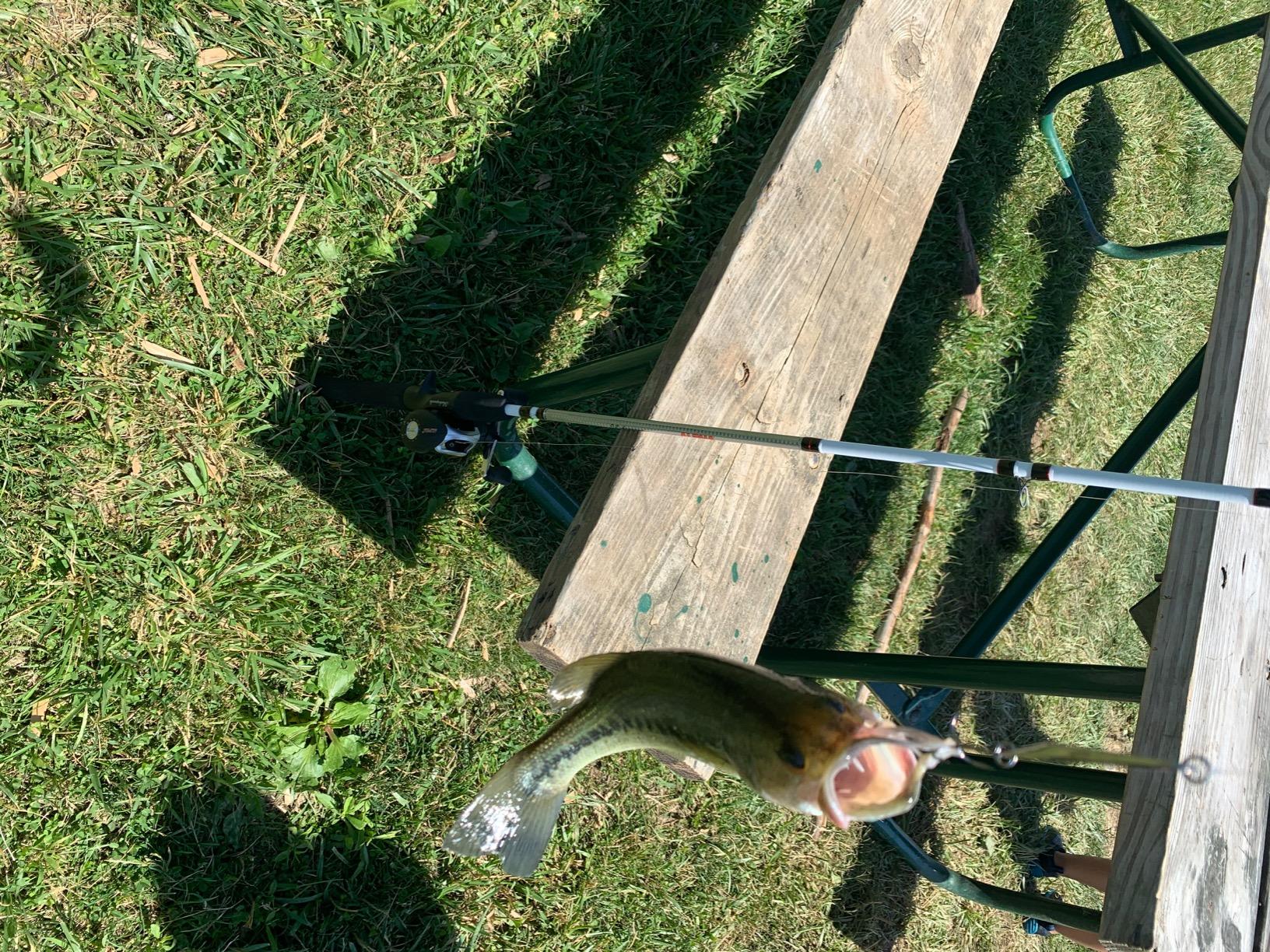 Shakespeare Alpha Medium 6' Low Profile Fishing Rod and Bait Cast Reel Combo (2 Piece), Black, White customer photo 2