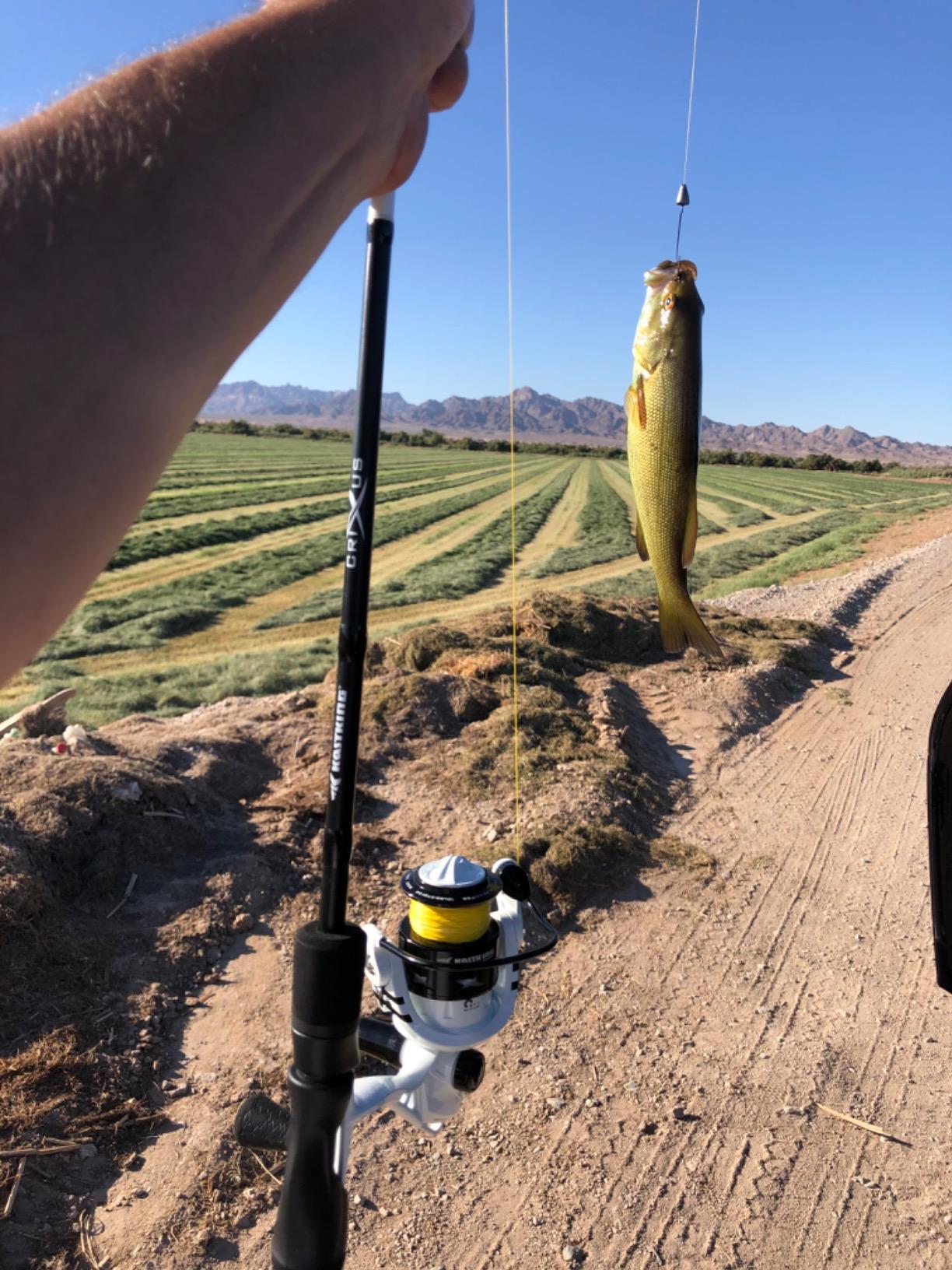 KastKing Crixus Fishing Rod and Reel Combo, High Performance Spinning & Baitcaster Combo, IM6 Graphite 2Pc Blanks, Zirconium Oxide Rings, SuperPolymer Handle, Lightweight Reel with Aluminum Spool customer photo 1