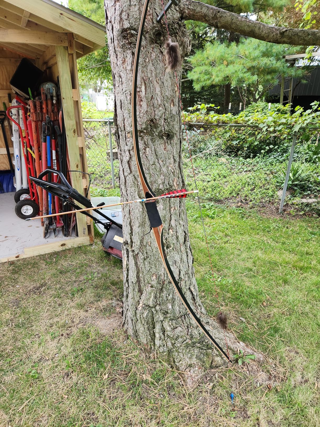 SAS Pioneer 68 Inch Longbow Traditional Wood Long Bow - Both Right Hand and Left Hand - Archery Target Hunting customer photo 1