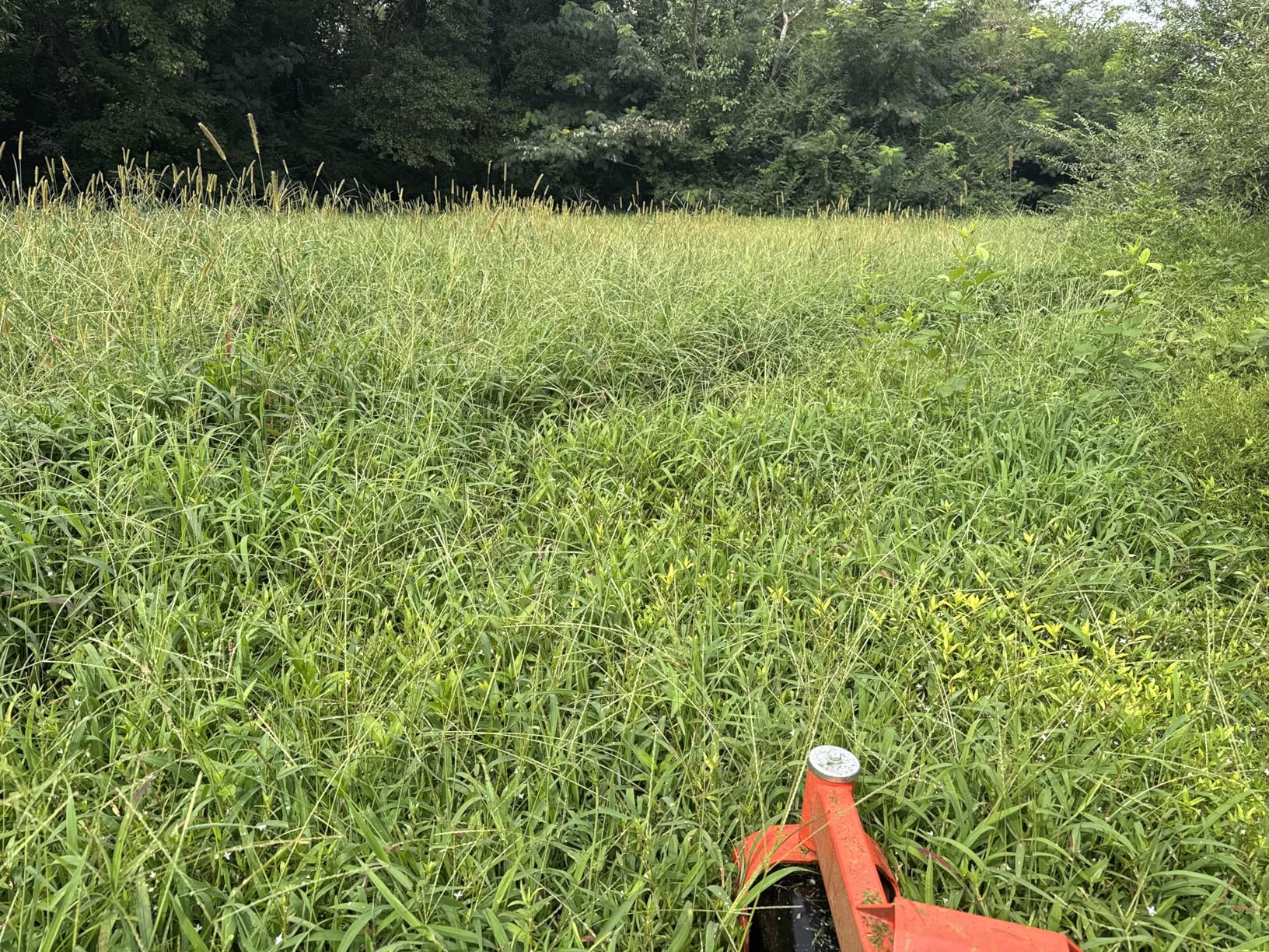 Ariens Zenith 60 (’60”) 23.5HP Kawasaki Zero Turn Lawn Mower customer photo 1