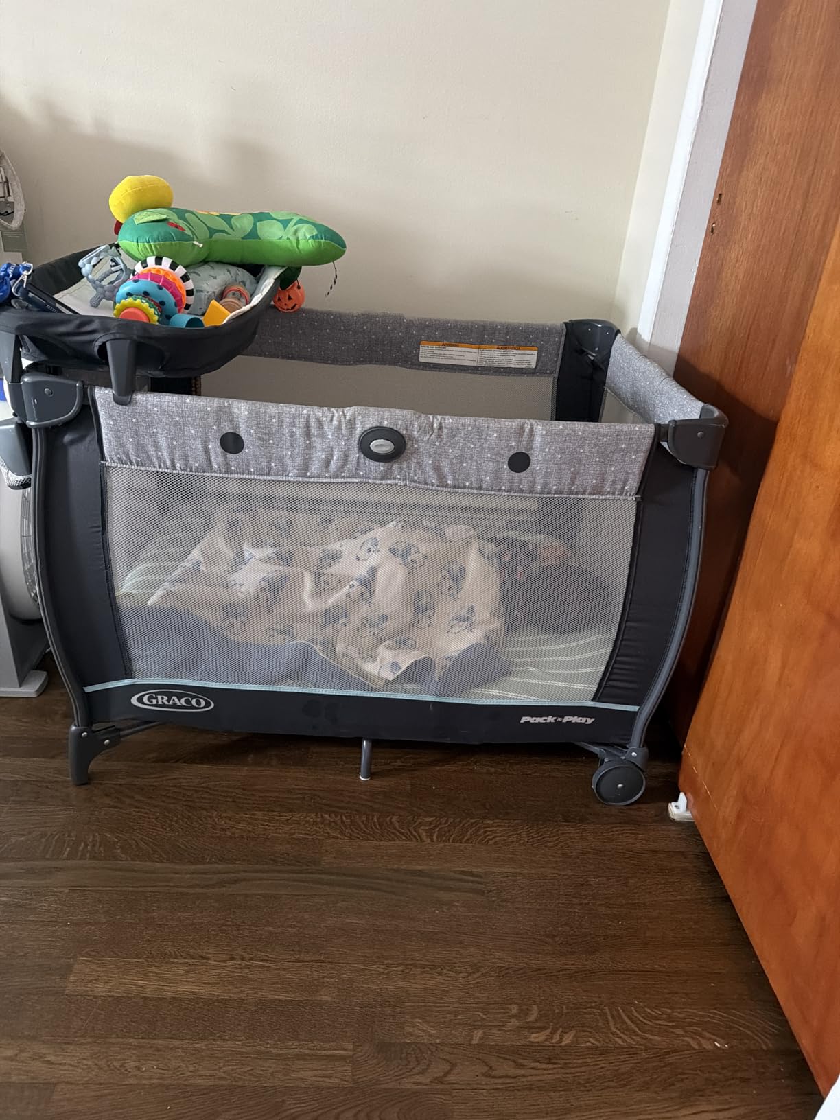 Graco Pack n Play Dome LX Playard with Baby Bassinet, Lightweight Portable Crib, Push-Button Fold Travel Crib, Redmond customer photo 2