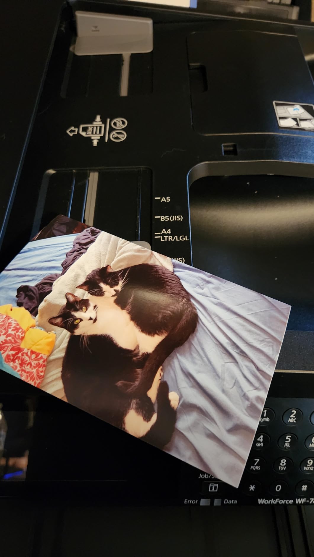 Epson Workforce Pro WF-7820 Wireless Duplex All-in-One Wide-Format Printer, Copier, Scanner, and Fax with 50 Page ADF customer photo 2