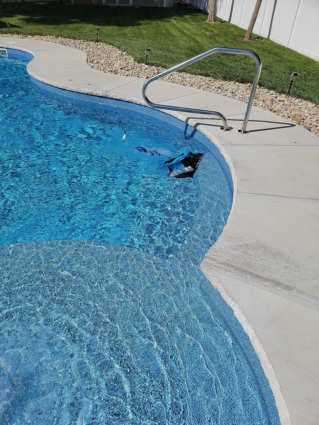 Dolphin Nautilus CC Plus Robotic Pool Vacuum Cleaner with Caddy and Classic Caddy Cover, Ideal for All Pools up to 50 FT customer photo 2