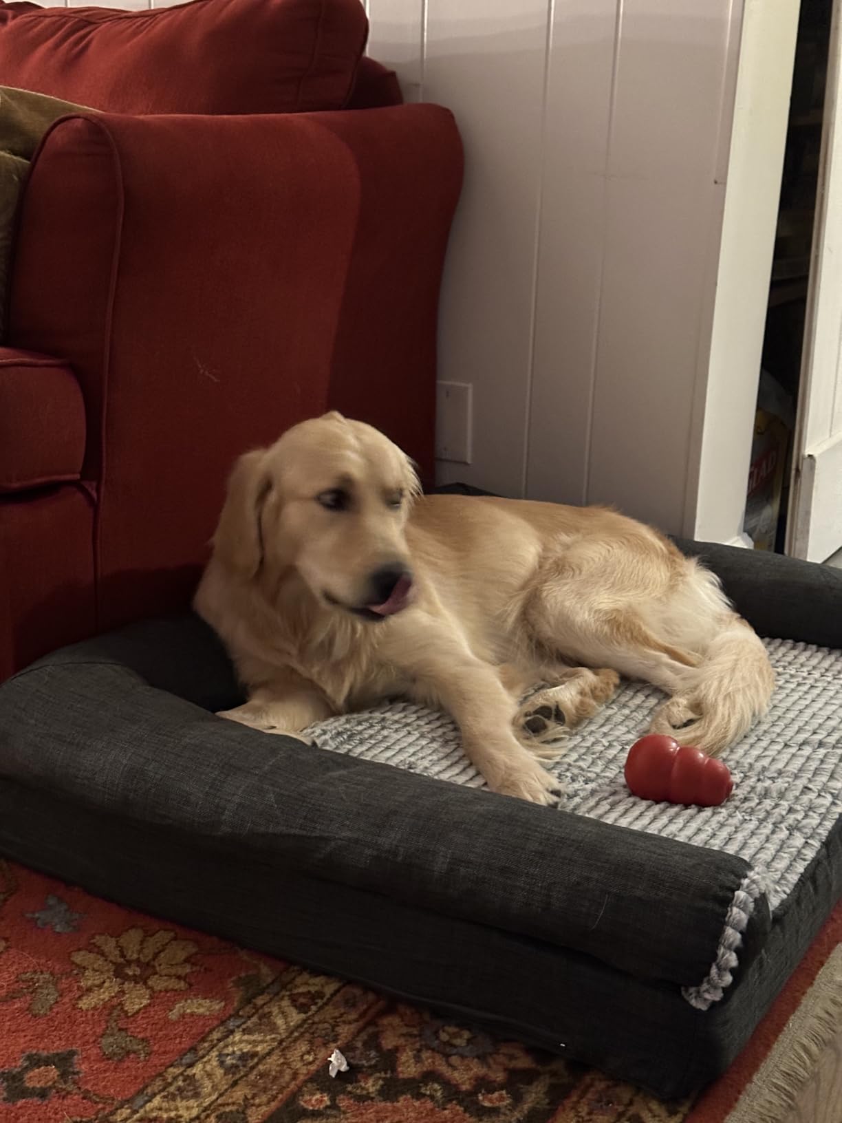 Furhaven Orthopedic Dog Bed for Large/Medium Dogs w/ Removable Bolsters & Washable Cover, For Dogs Up to 55 lbs - Plush & Suede Sofa - Almondine, Large customer photo 1