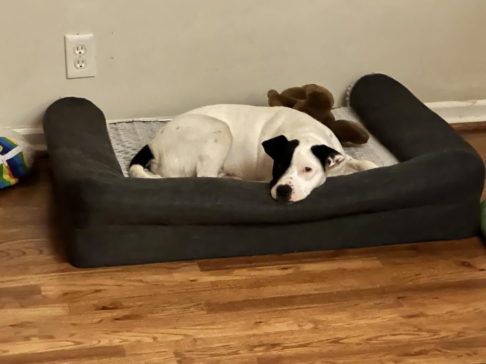 Furhaven Orthopedic Dog Bed for Large/Medium Dogs w/ Removable Bolsters & Washable Cover, For Dogs Up to 55 lbs - Plush & Suede Sofa - Almondine, Large customer photo 2