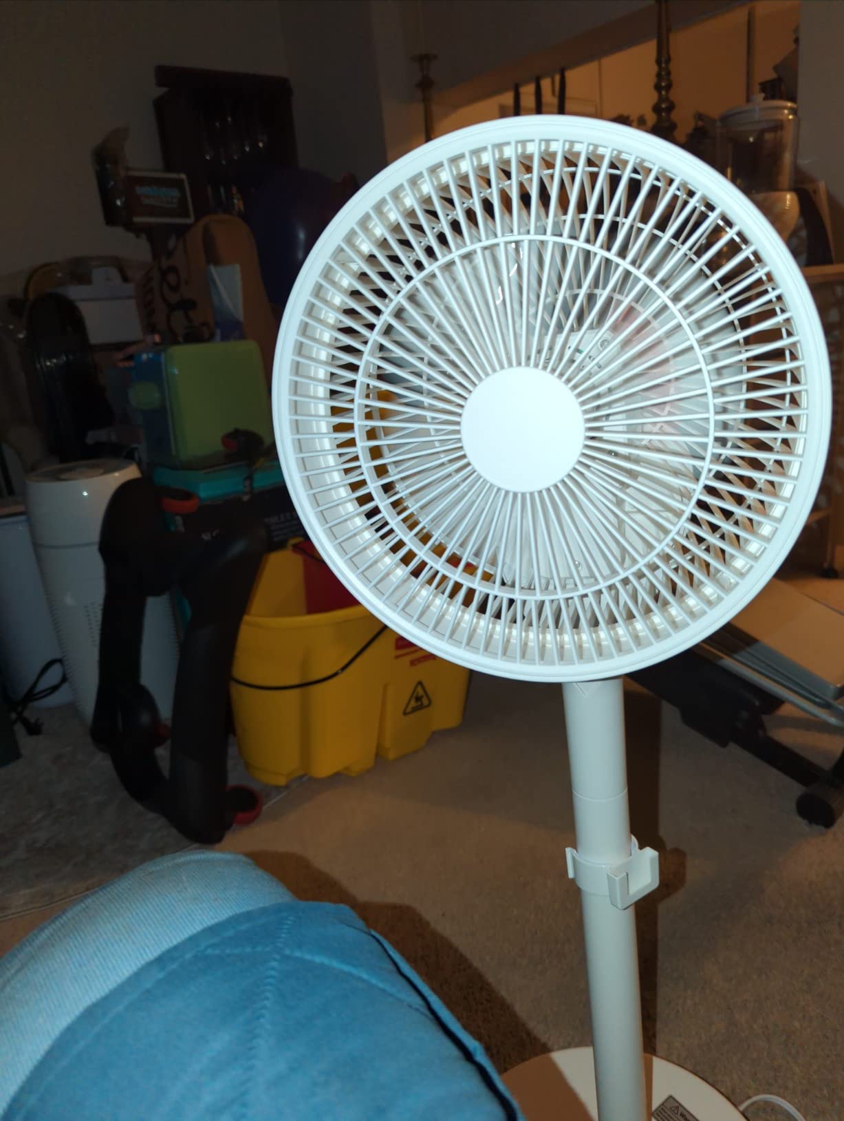 IRIS WOOZOO Pedestal 360 Oscillating DC Motor Standing Fan with Remote Control customer photo 1