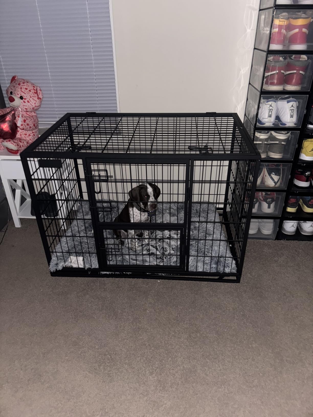 Feandrea 42.1 Inch Heavy Duty Dog Crate, Metal Escape Proof Kennel with Double Doors and Convenient Feeding Door, Removable Tray, XL Pet Crate for Large and Medium Dogs, Black customer photo 1
