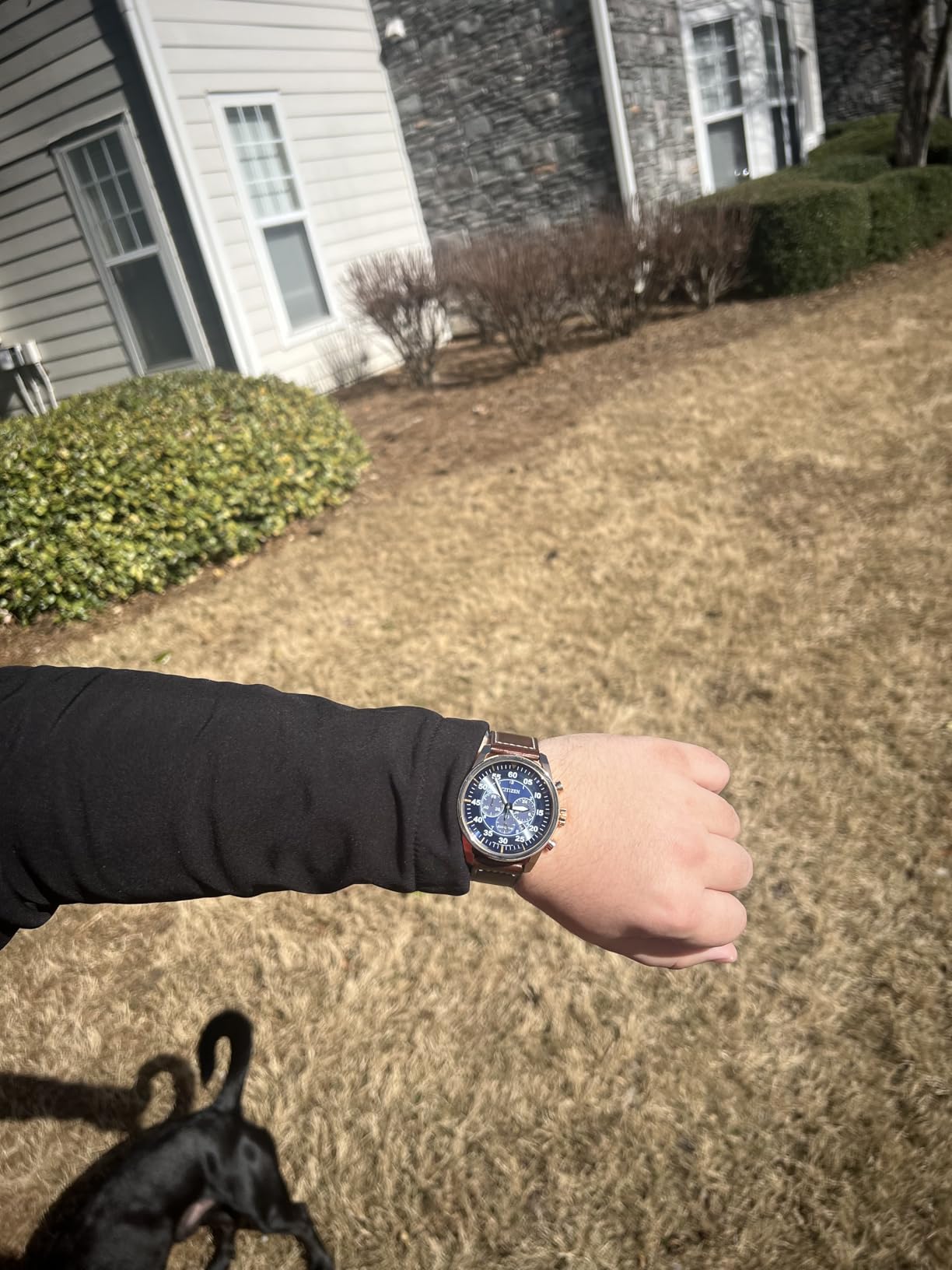 Citizen Men's Eco-Drive Chronograph Sport Casual Watch customer photo 1