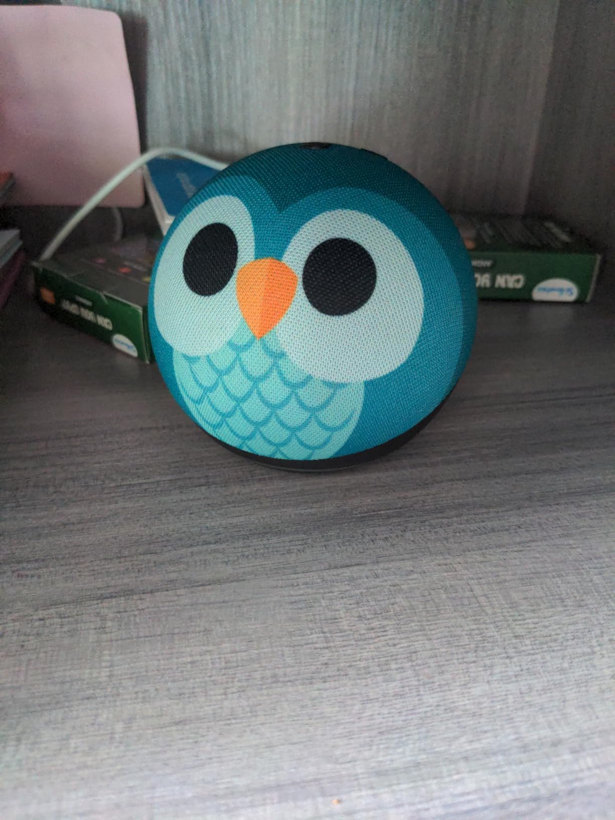 Amazon Echo Dot Kids (newest model) - Owl, with Echo Glow, Smart speaker and night light for kids, Designed for Alexa+ customer photo 1