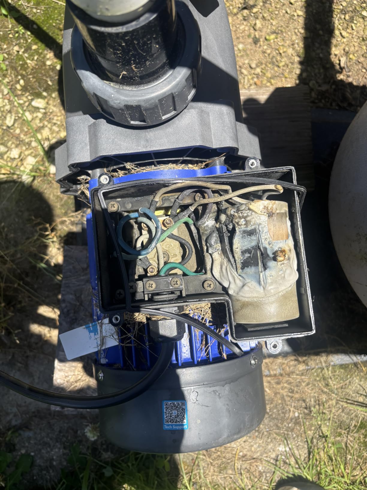 Aquastrong 2HP In/Above Ground Pool Pump, Dual Speed, 115V, 5186GPH, High Flow, Powerful Self Primming Swimming Pool Pumps with Filter customer photo 2