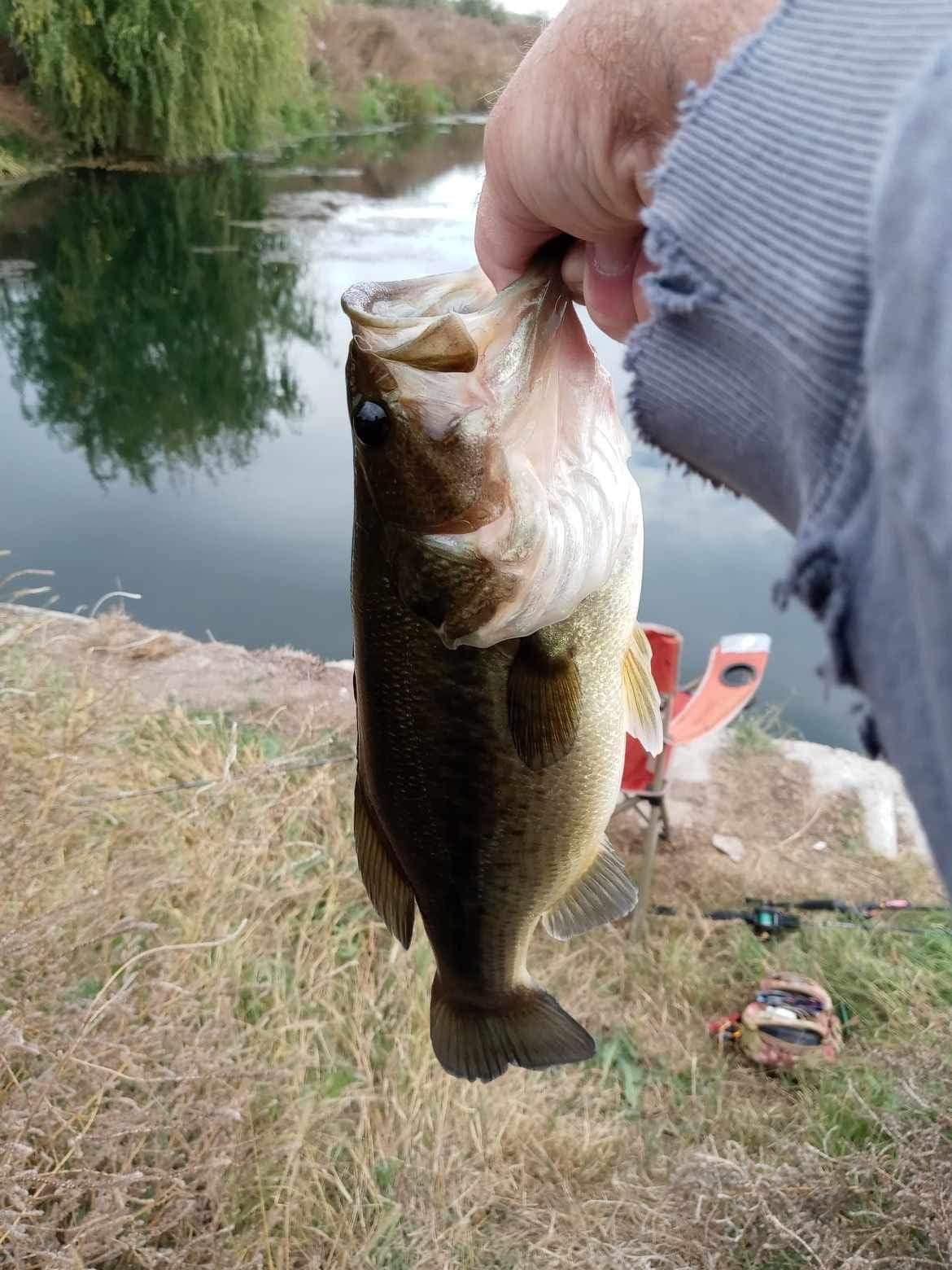 Abu Garcia Revo X Spinning Fishing Reel customer photo 1