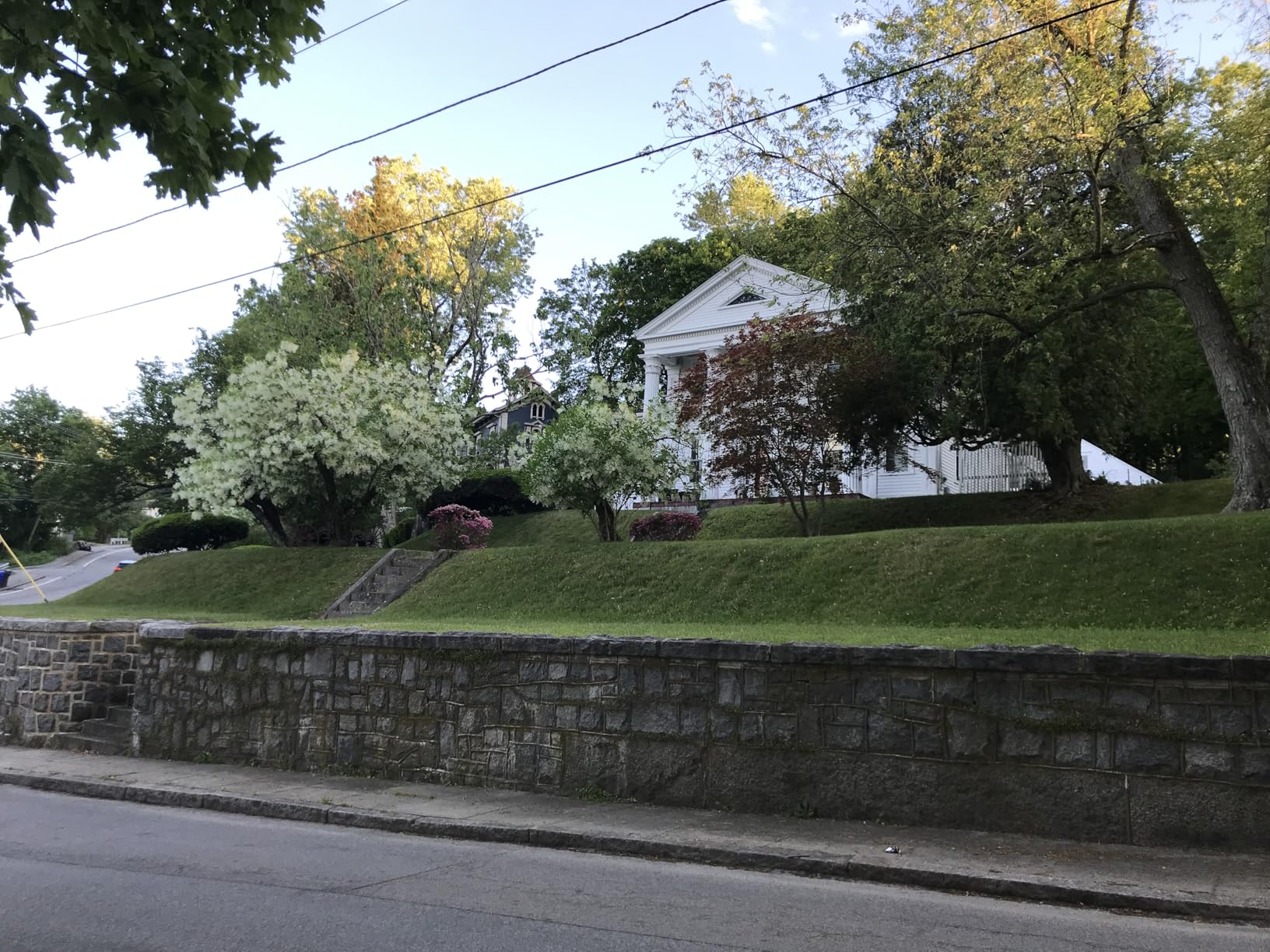 Remote Controlled Lawn Mower | 55 Degree Slope Capability | Hybrid Self-Charging Dual Battery | Brushless Motors | Zero Turn | Adjustable Cutting Deck customer photo 2