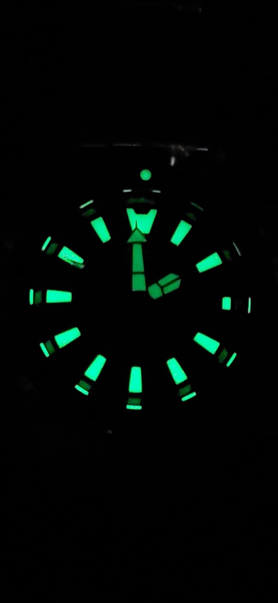 Citizen Men's Promaster Dive Fugu Automatic Watch customer photo 2