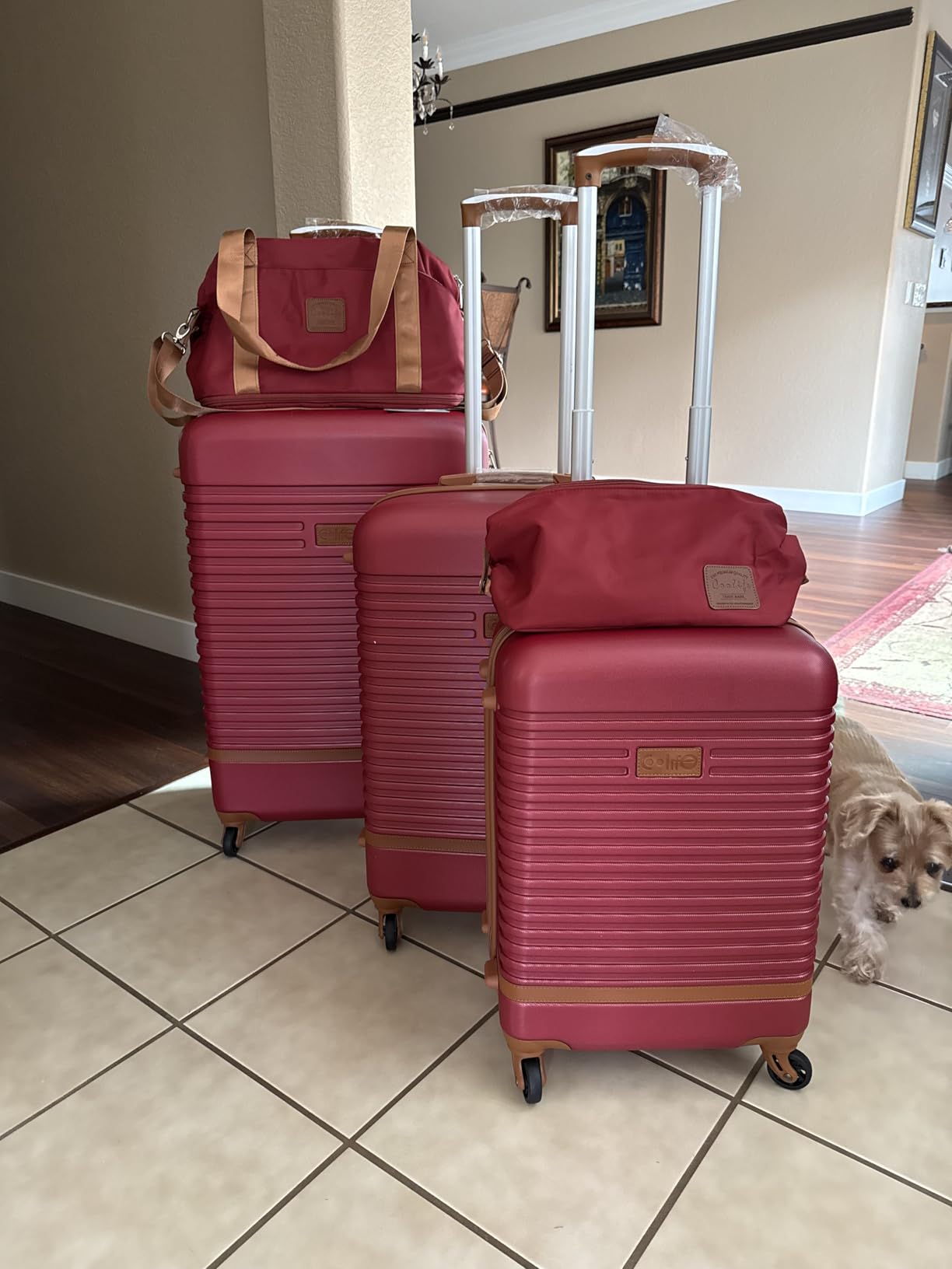 Coolife Suitcase Set 3 Piece Luggage Set Carry On Travel Luggage TSA Lock Spinner Wheels Hardshell Lightweight Luggage Set(White, 3 piece set (BP/TB/20)) customer photo 1