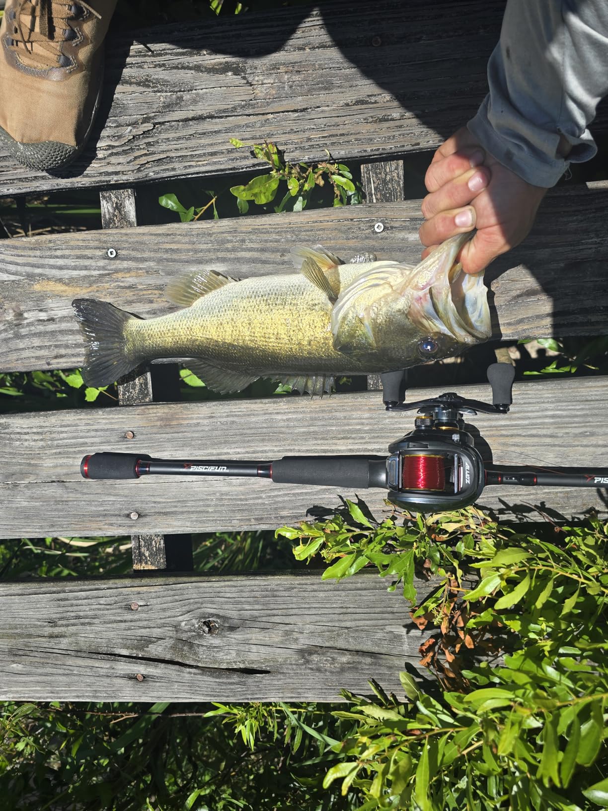 Piscifun Torrent Fishing Rod, IM6 Carbon Baitcaster Rod & Spinning Rod customer photo 1