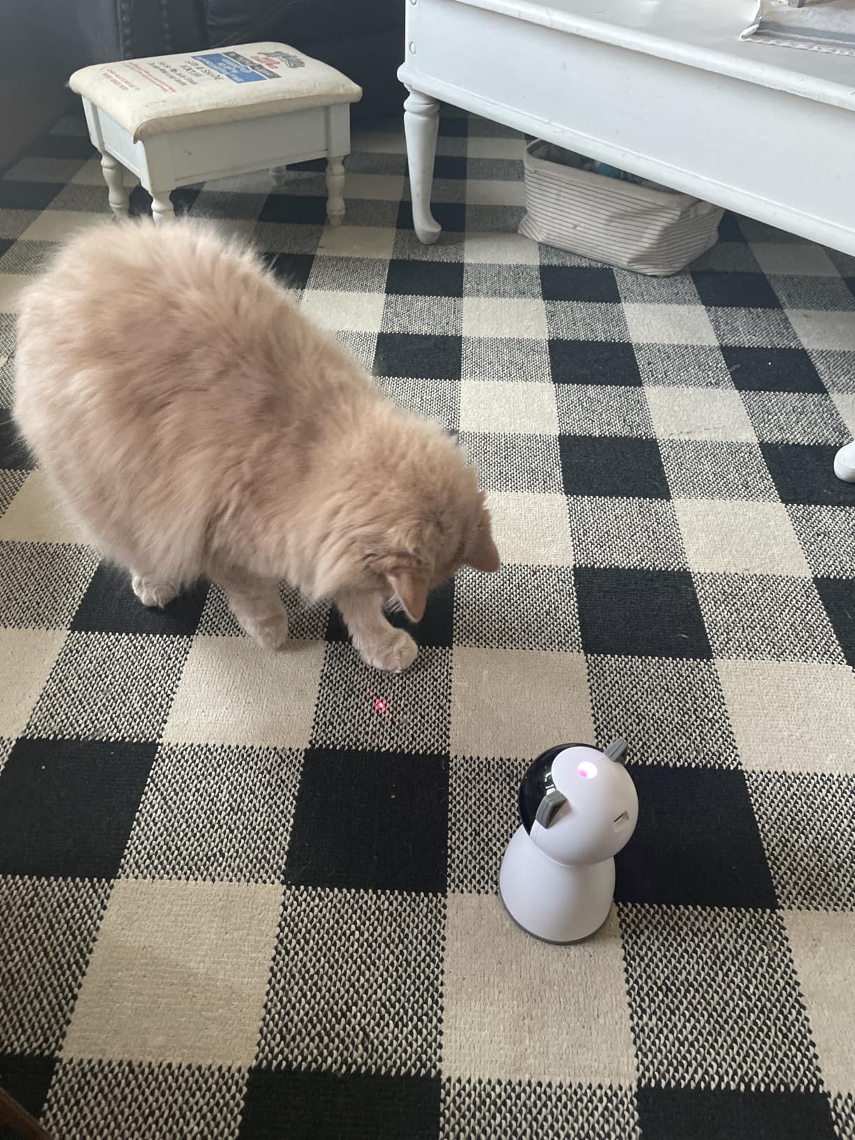 YVE LIFE Cat Toys Laser for Indoor Cats, The 4th Generation Real Random Trajectory Motion Activated Rechargeable Automatic Cat Laser Toy, Interactive Cat Toys for Bored Indoor Cats/Kittens customer photo 2