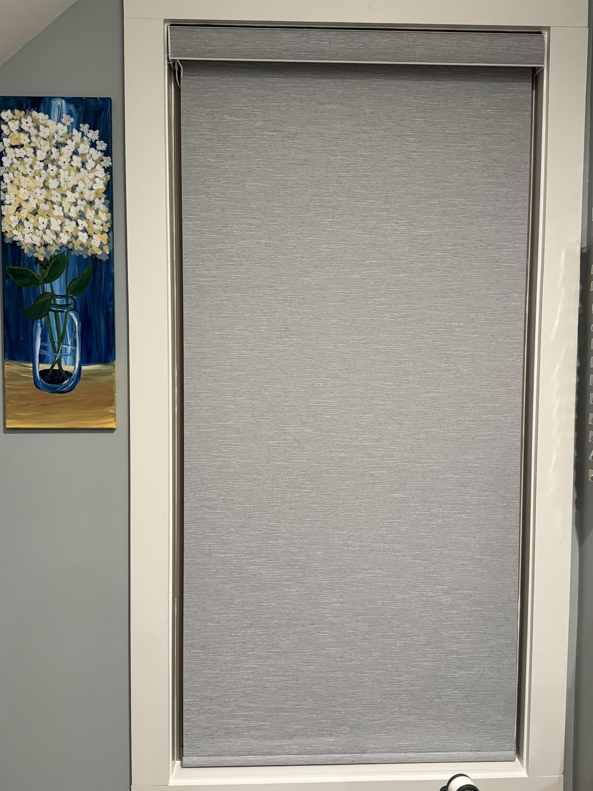 SmartWings Motorized Smart Blinds with Remote, Custom Automatic 100% Blackout Roller Shade Compatible with Alexa/Homekit/Google, Electric Smart Blinds for Indoor Windows, Vinyl Pure White customer photo 1
