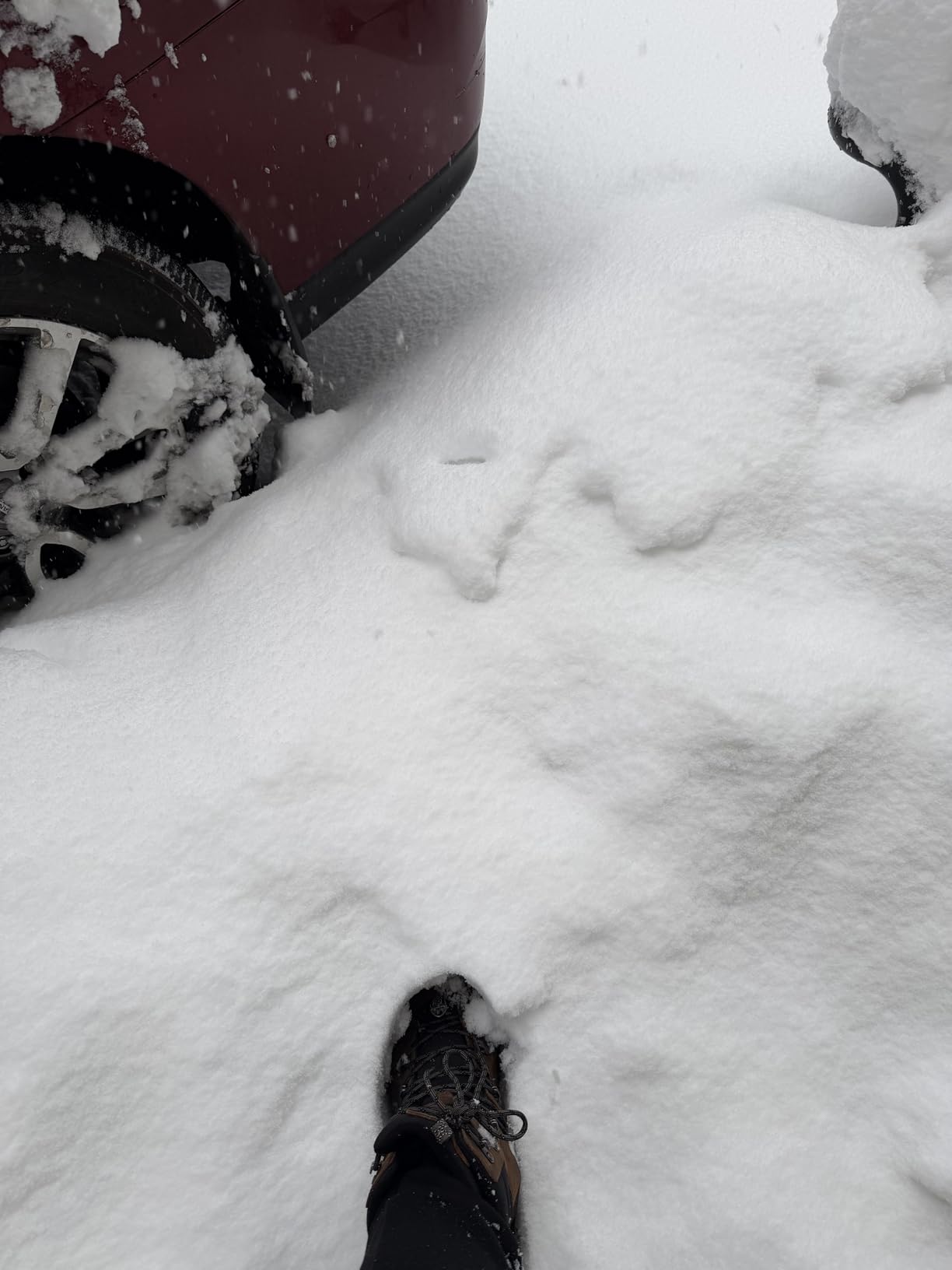 Revel 4 Mid Height Polar Insulated Waterproof customer photo 2