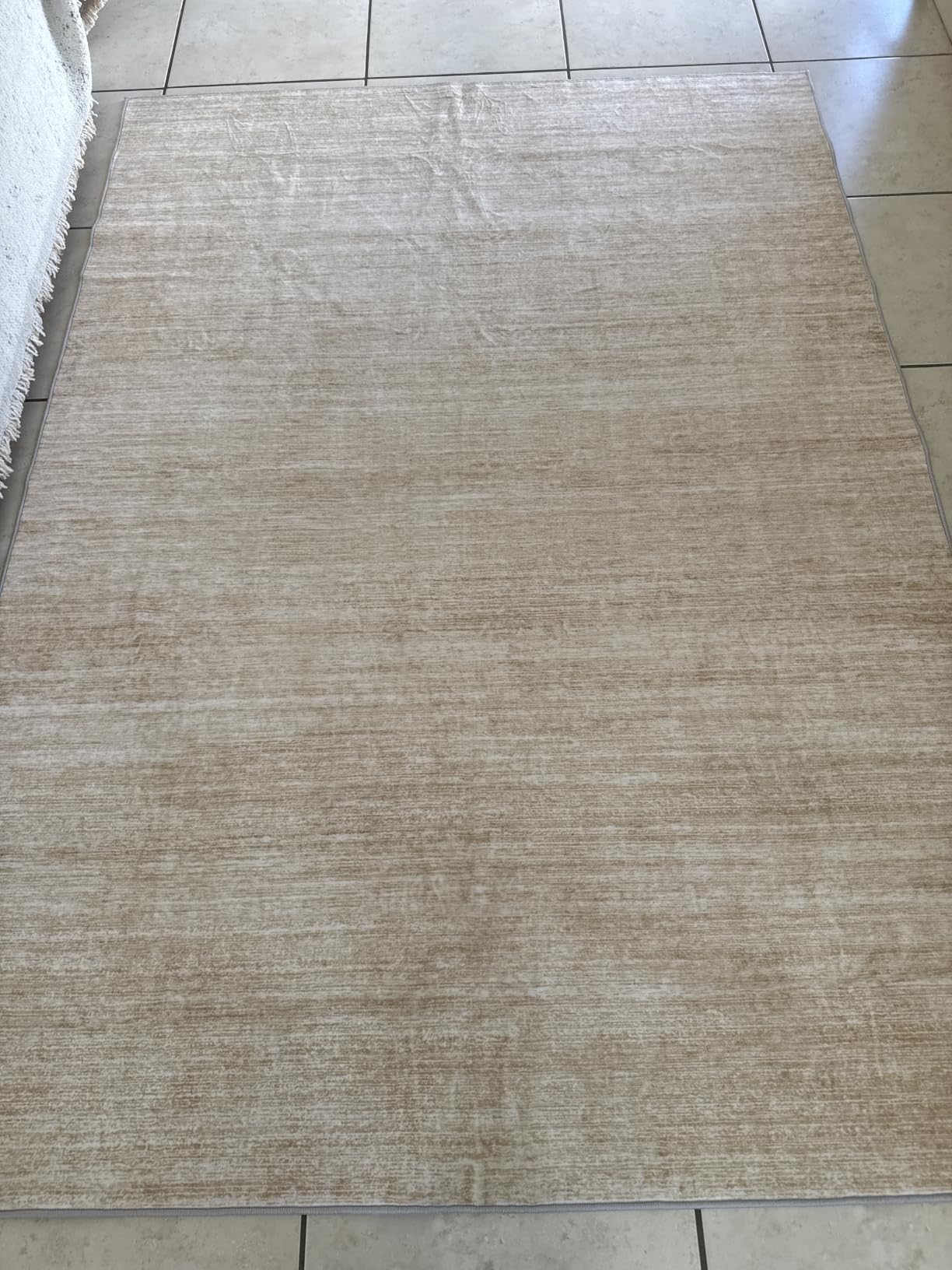 Valenrug Area Rugs 9x12 Living Room - Stain Resistant 9x12 Area Rugs for Living Room, Non Slip Backing Printed Rugs for Bedroom, Foldable Machine Washable Rugs (9'x12', Beige) customer photo 2