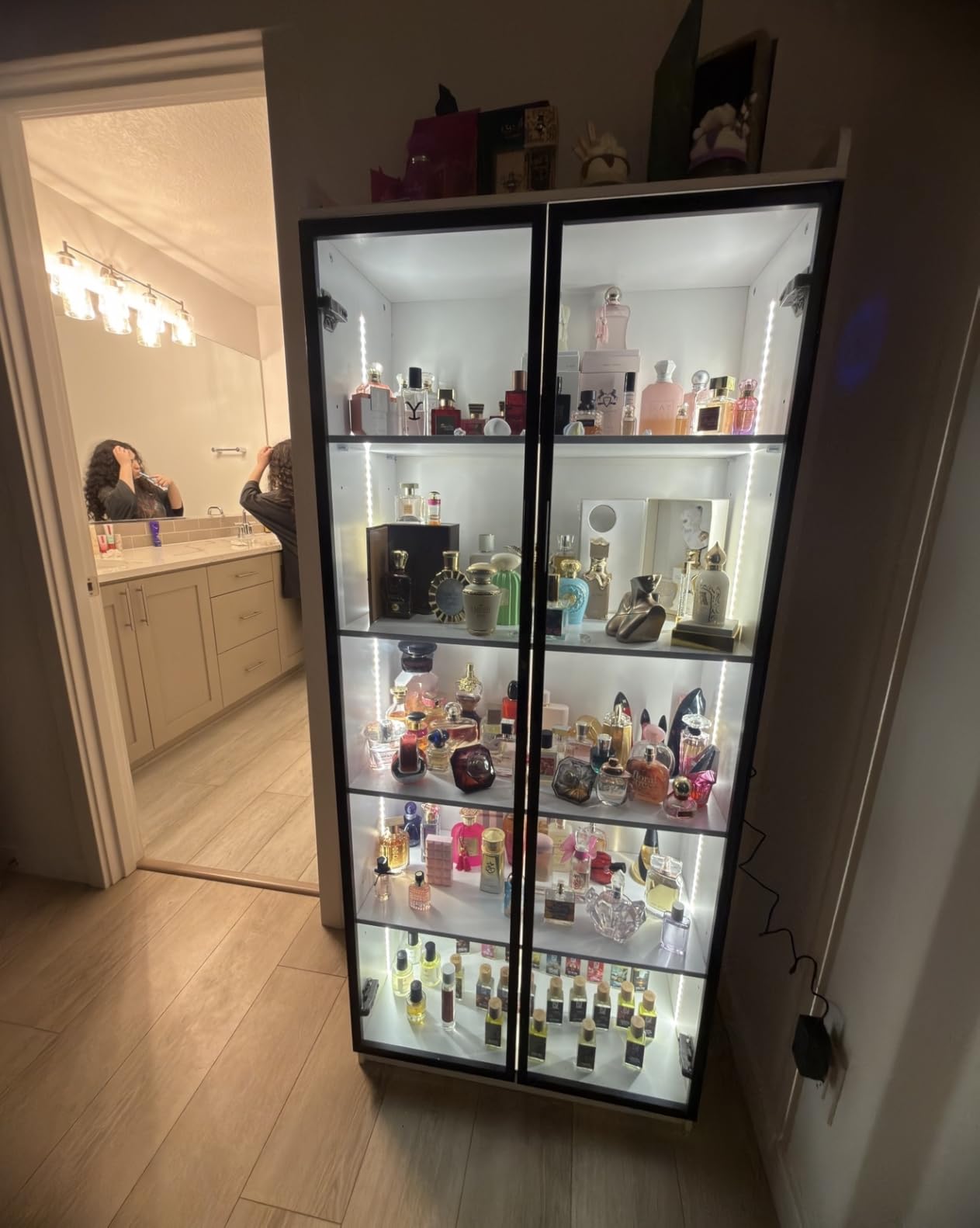 Dystler Display Cabinet with Doors and Adjustable Shelves, 65