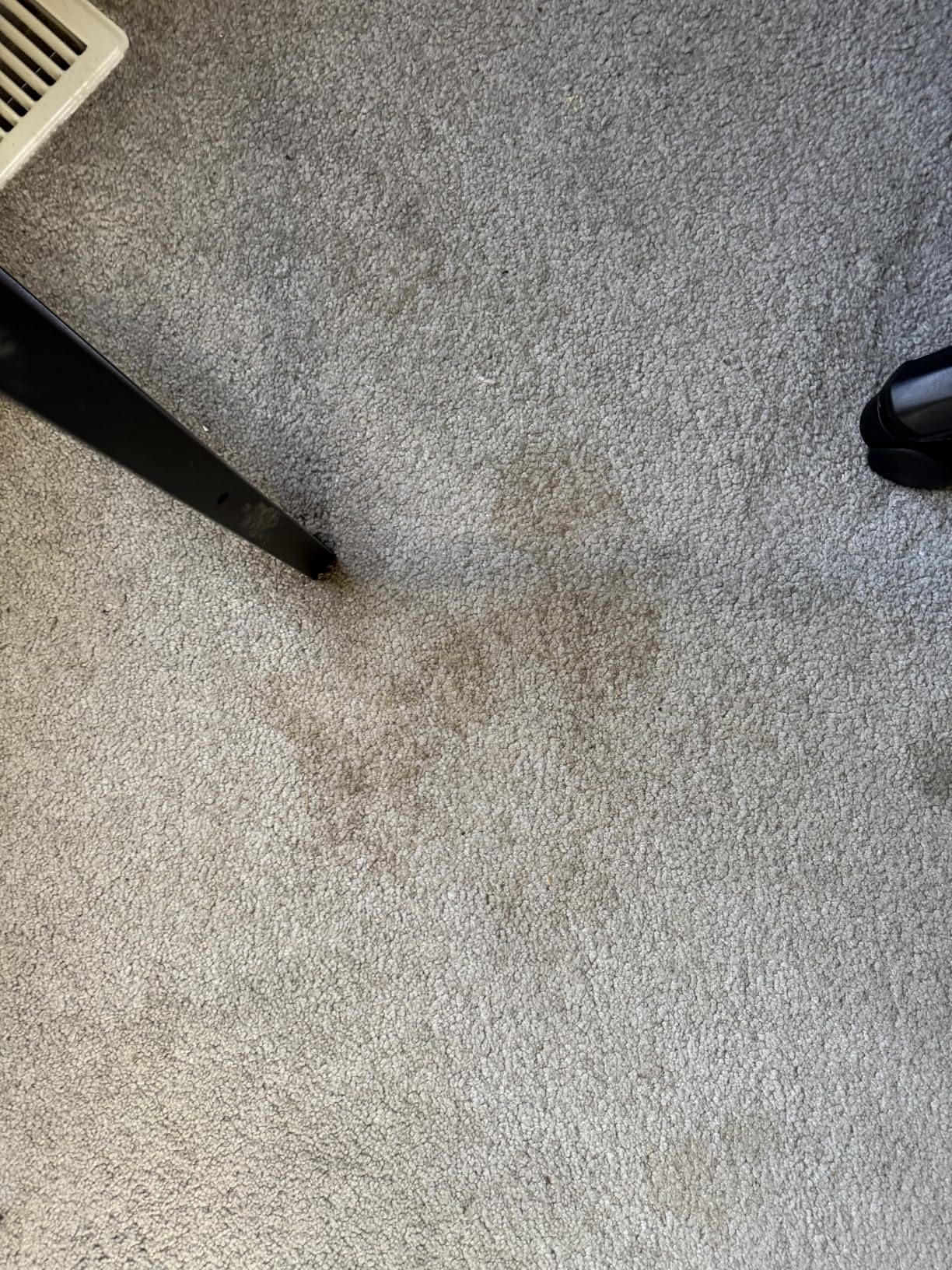 Carbona 2-in-1 Oxy-Powered Carpet Cleaner (13.5 Fl Oz), Spot Cleaner with Dual Sponge & Bristle Applicator for Targeted Cleaning, Fast Formula customer photo 2