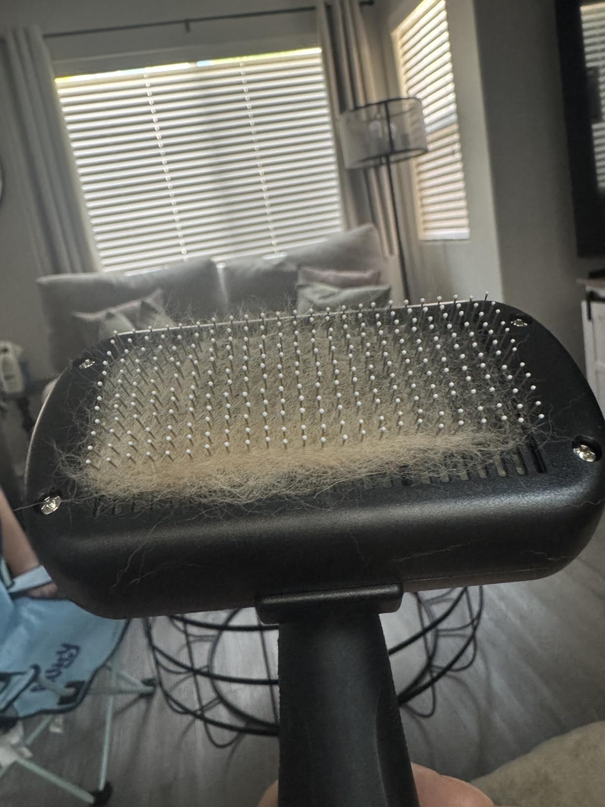 Dipoo Self Cleaning Shedding Brush - Skin Friendly Grooming Tool for Dogs, Cats, and Puppies, Deshedding and Hair Removal for Long and Short Haired Pets, Black customer photo 2