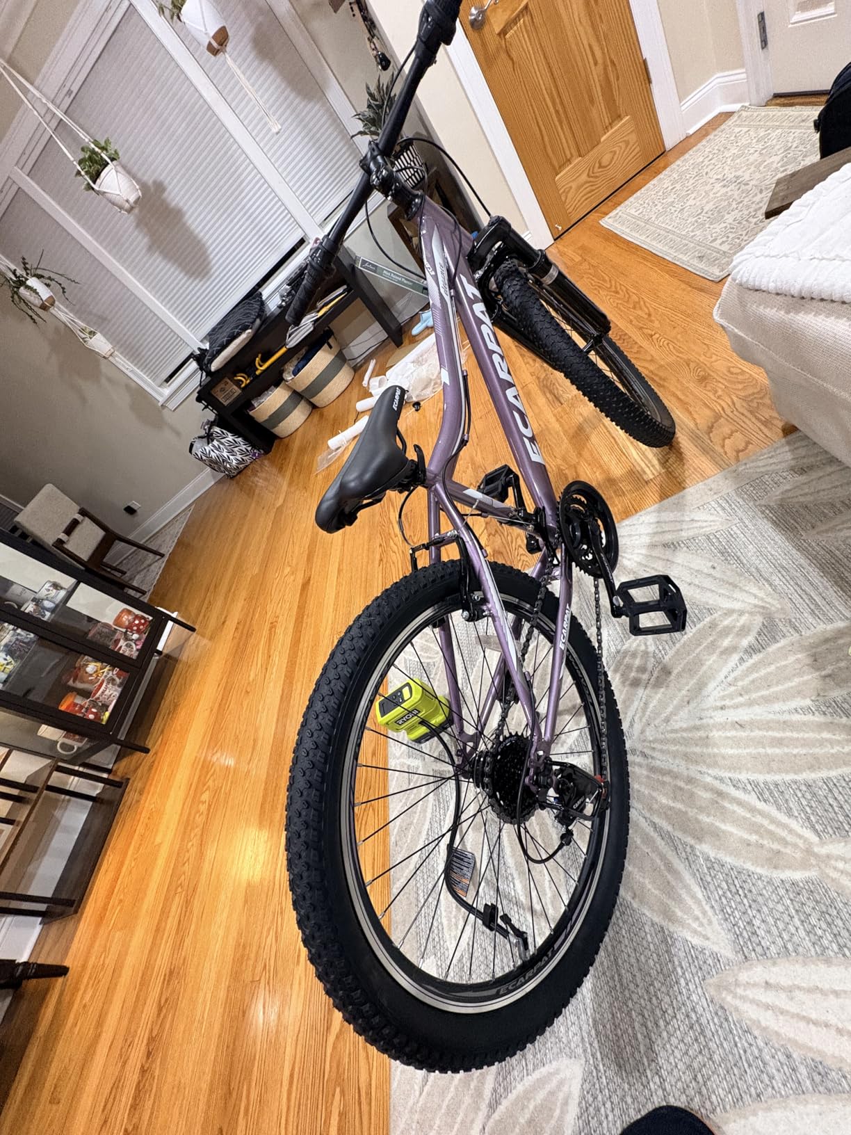 Ecarpat 20 24 26 Inch Women Girls Mountain Bike, Disc/V Brakes 21 Speeds Women Bike, Sturdy Steel Frame and Suspension Fork, Stylish Adult and Teens Bicycle for Urban Trail Snow Commuter customer photo 1
