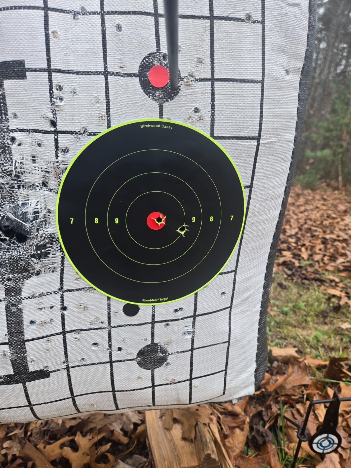 Bear Archery Adapt 2 Ready to Hunt Compound Bow Archery Set with Archery Accessories Including IMS V-Biscuit Rest, 4 Pin Sight, & Stabilizer, 24-31 Inch Draw Length, Up to 320 FPS customer photo 1