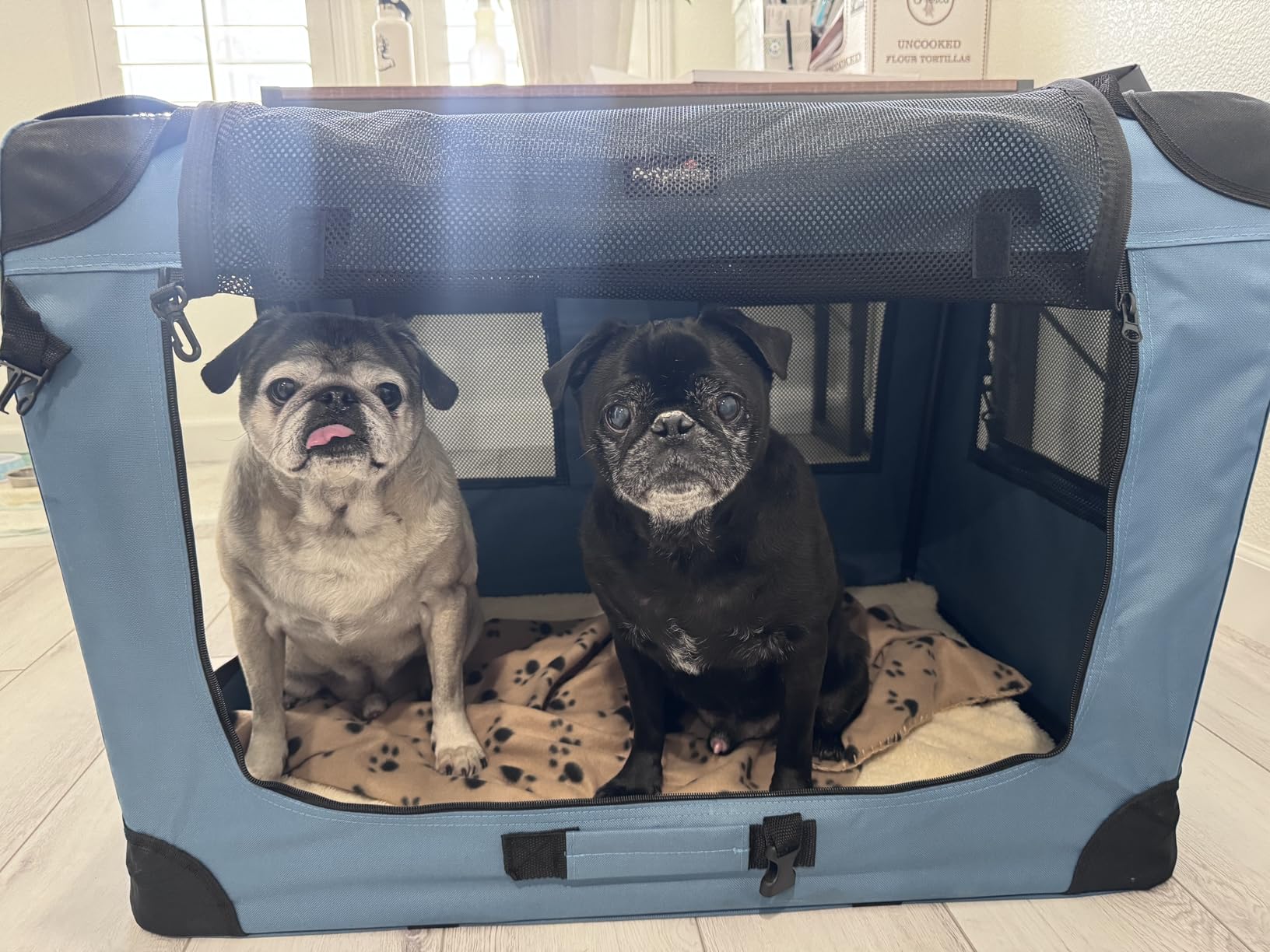 Petprsco Soft Collapsible Dog Crate, 40 inch Portable Dog Crates for Large Dogs, XL Dog Crate for Travel, 3 Door Foldable Pet Kennel with Durable Mesh Windows Indoor & Outside customer photo 2