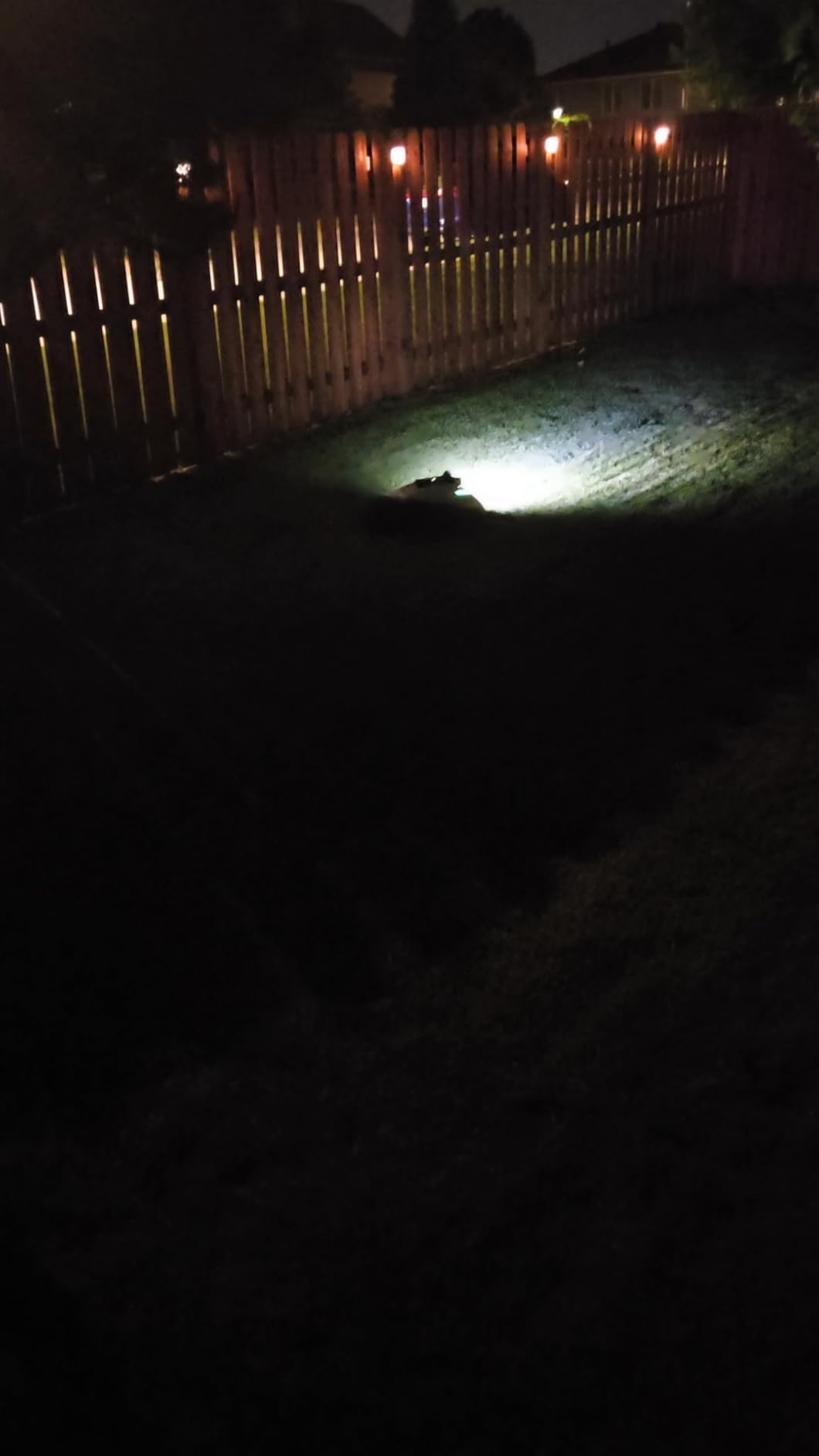 Mammotion YUKA mini 2 1000H Robotic Lawn Mower, for 0.25 Acre, 360 LiDAR + AI Vision, 45% Slope, DropMow, Smart Battery Management customer photo 1