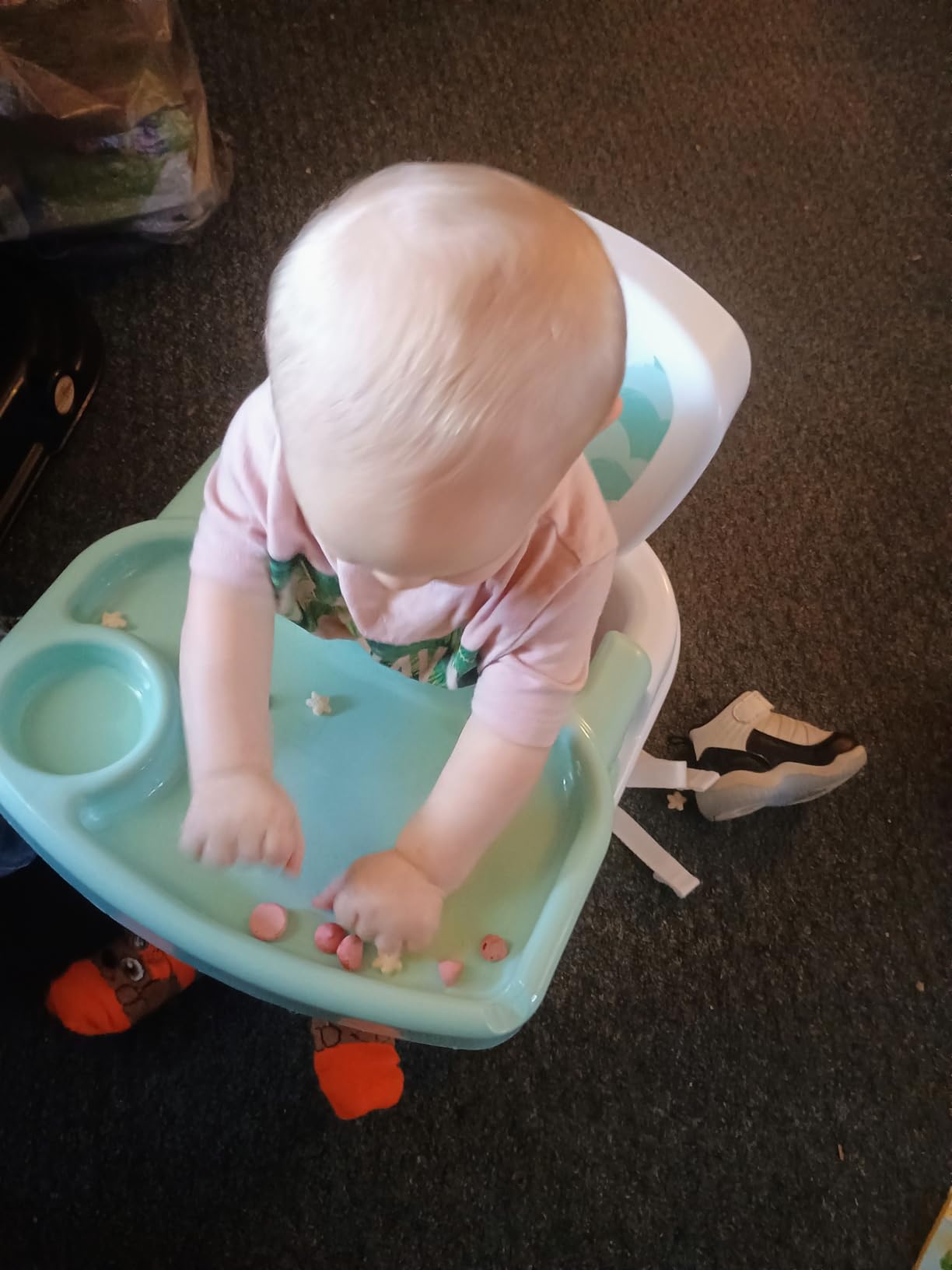 Fisher-Price Feeding Booster Seat for Toddlers, Adjustable Tray, Portable High Chair with Safety Straps, Folds for Travel, Ages 1+ customer photo 2