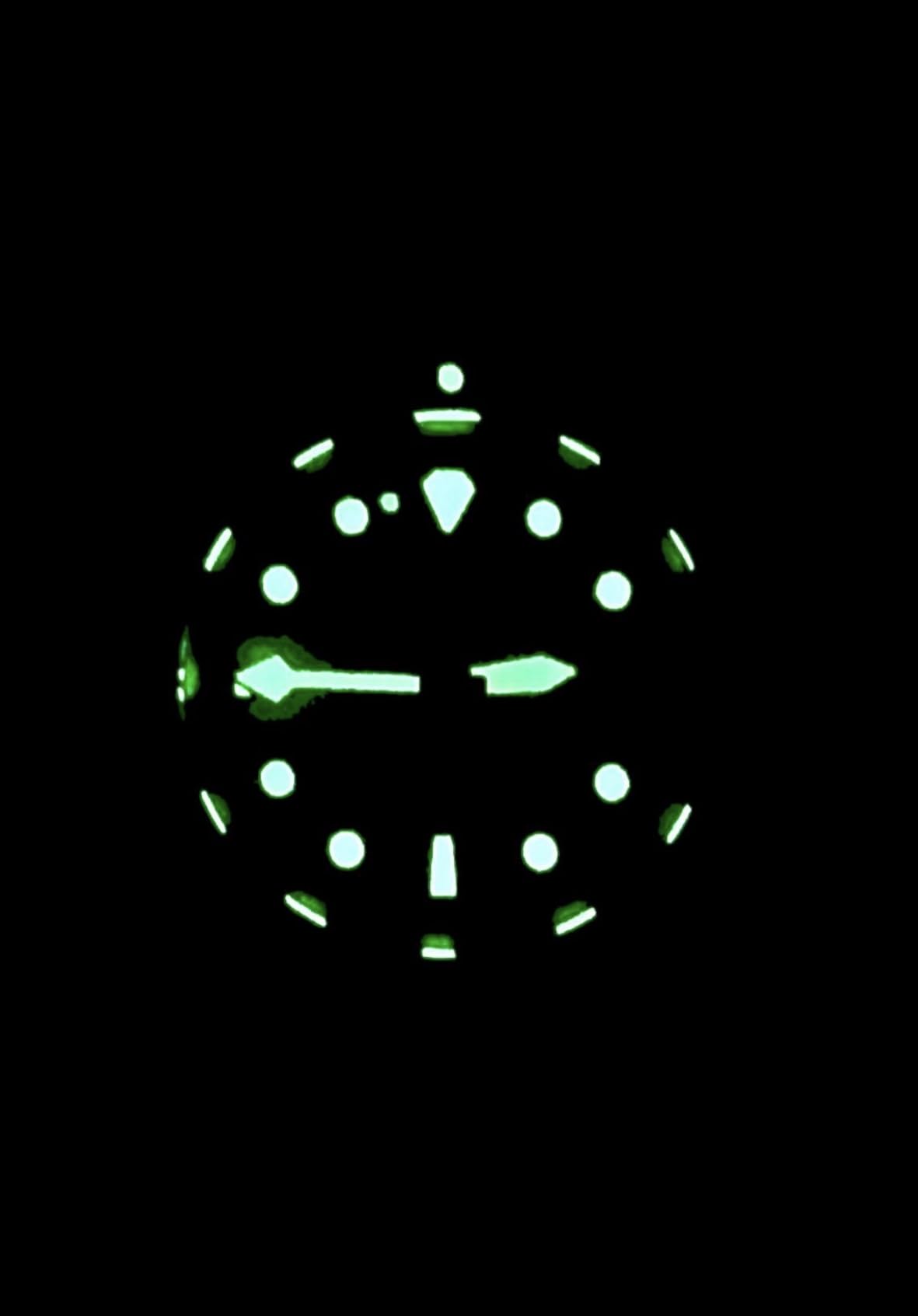 FreeDiver Sapphire Crystal Diver Watch Japanese Automatic Movement Dive Watch 200m Water Resistant customer photo 2