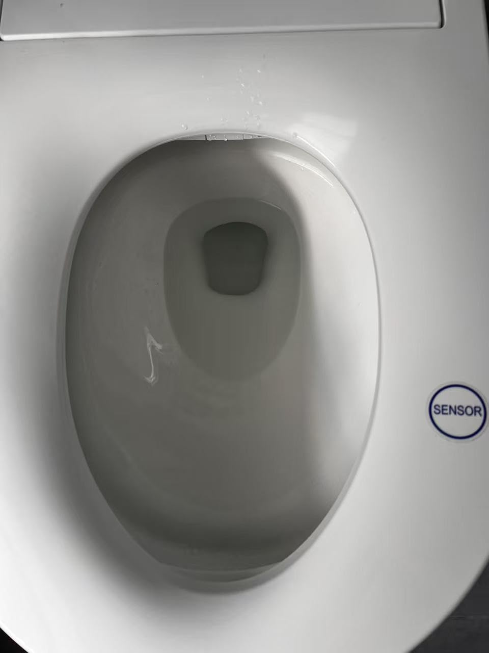 Casta Diva Smart Toilet with Bidet Built in, Auto Open/Close Lid, 1000g MaP Flush, Heated Comfort Seat & Foam Dispenser, Foot Sensor, Bidet Toilet with Tank (CD-K030PRO) customer photo 1