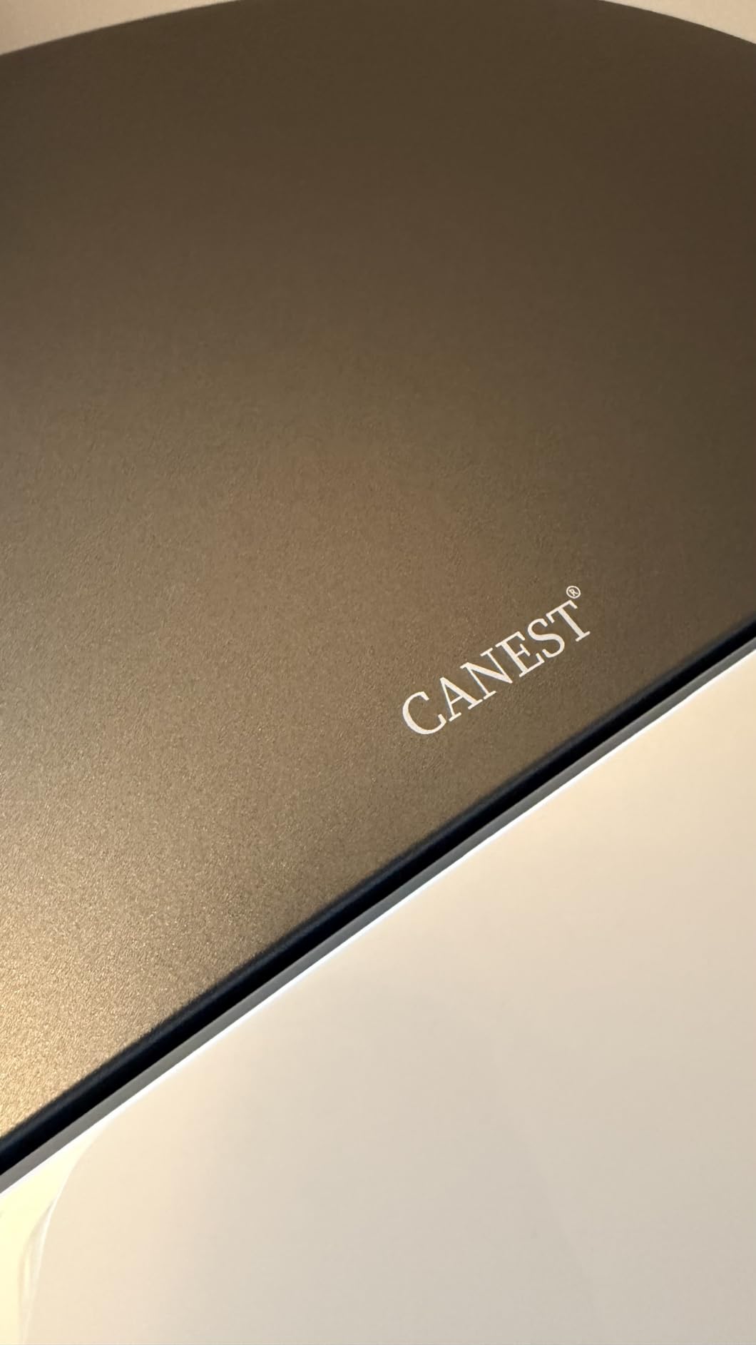 CANEST Smart Toilet with Bidet Built in, Dual-Flush 1.1/1.6GPF with 17