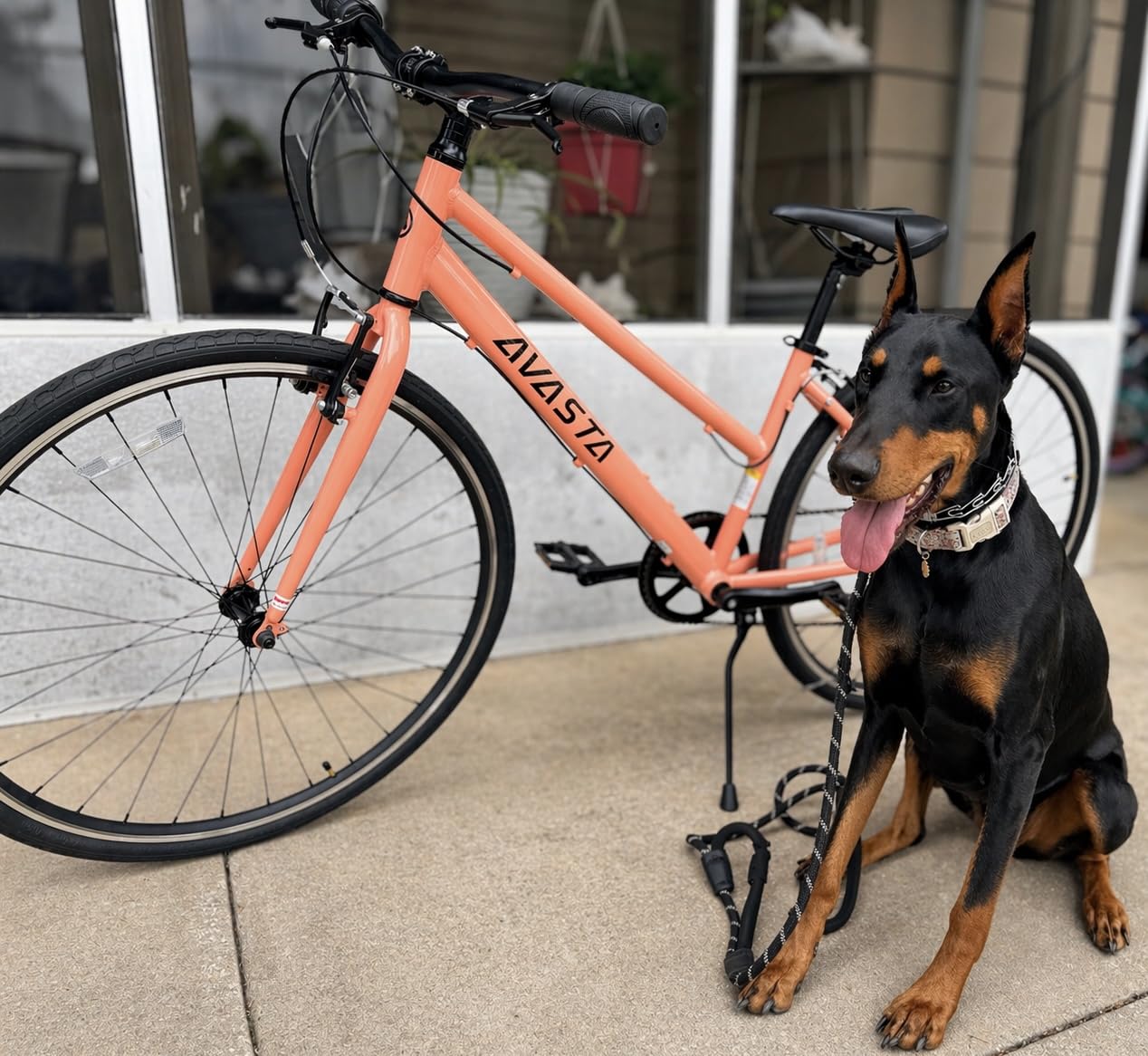 AVASTA Populus 700C Road Bike for Women with Kickstand, Lightweight Step Through Aluminum Alloy Frame, 7-Speed Drivetrain customer photo 2