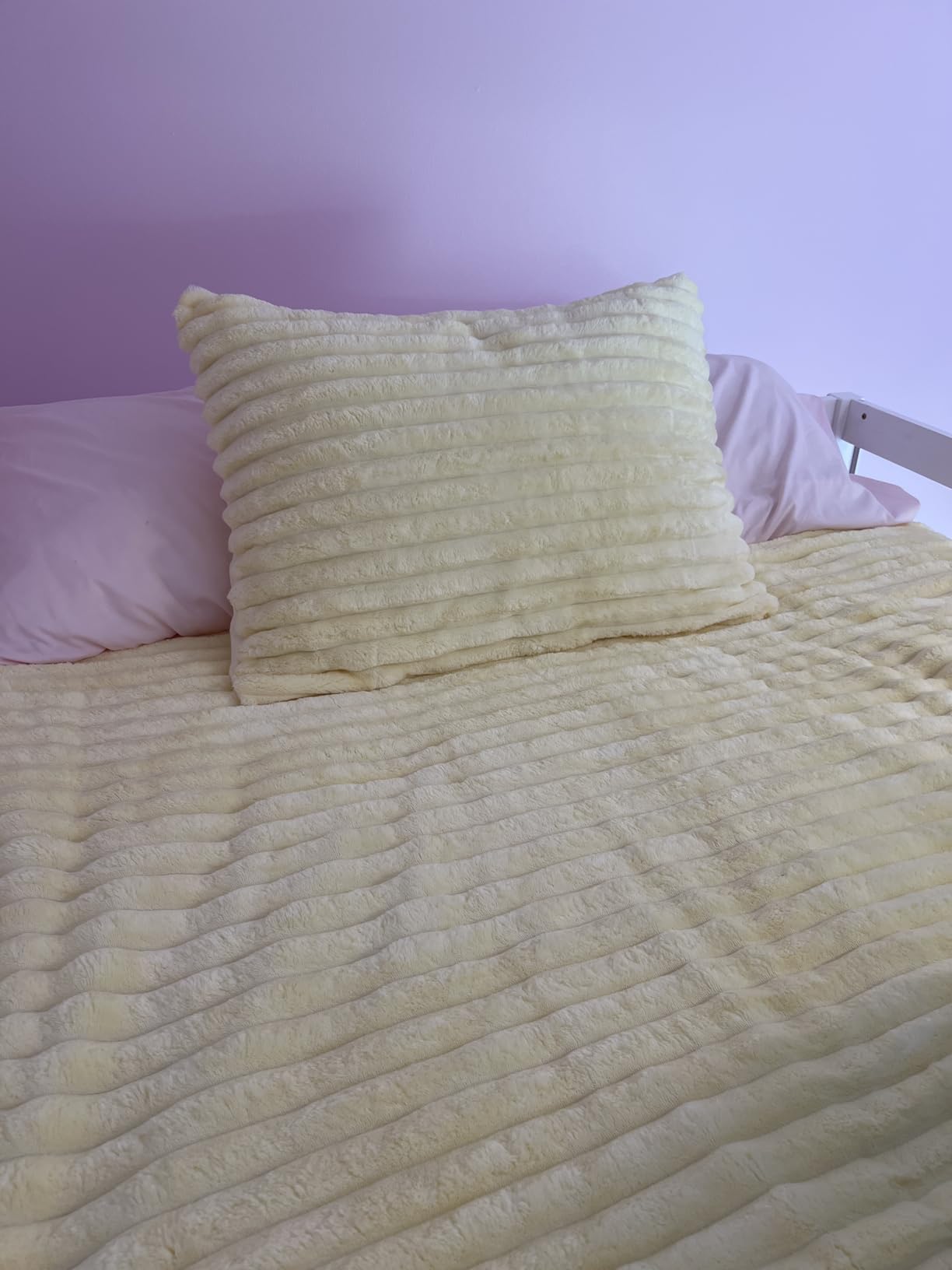 Sasttie Queen Comforter Set 3 Pieces - Super Soft Fleece Comforters Queen Size, 1 Luxury Warm Fuzzy Marshmallow Comforter with 2 Pillow Cases, Faux Fur Down Alternative Bedding Set, Cream White customer photo 1
