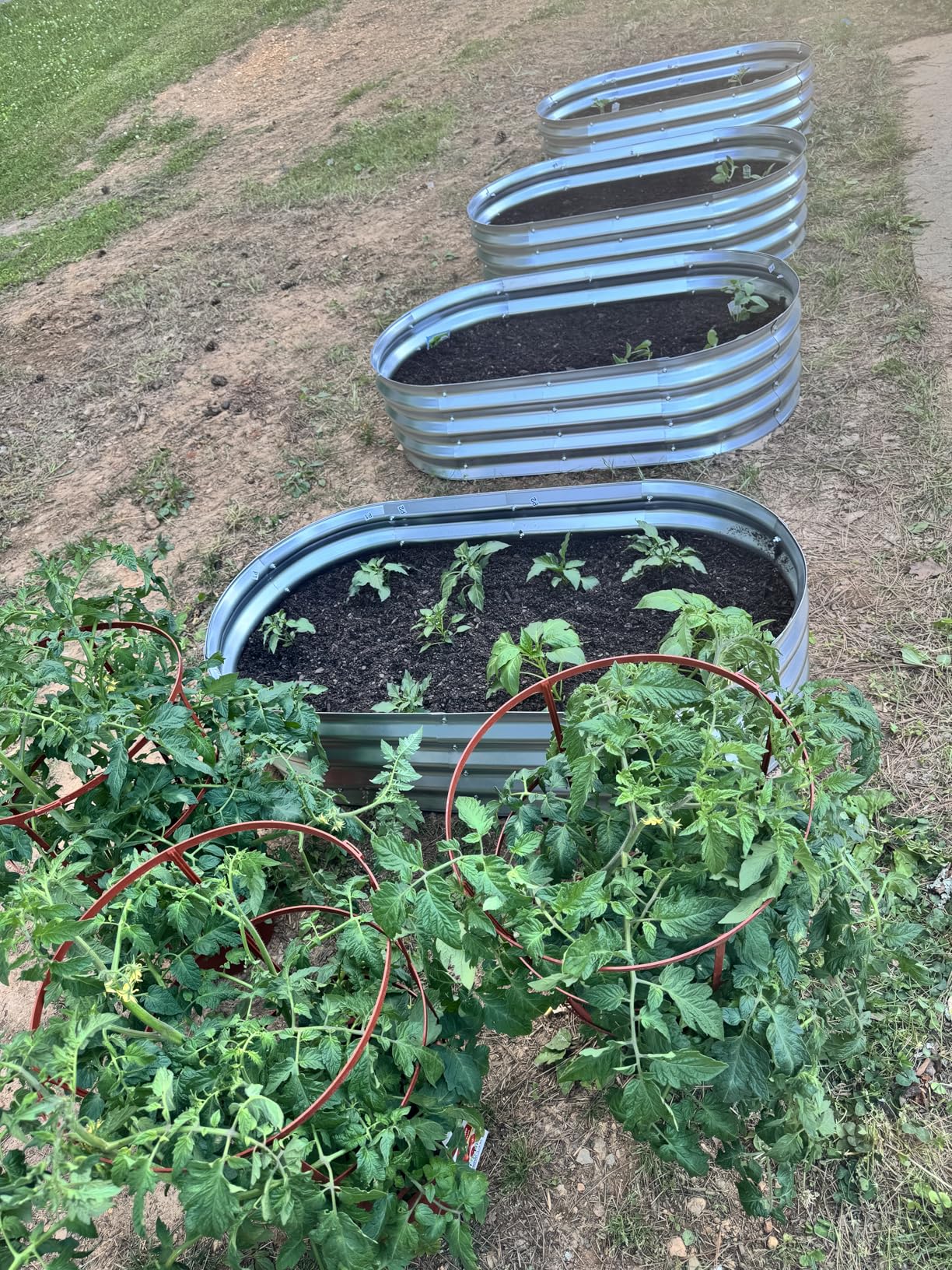 Galvanized Raised Garden Bed Outdoor, 4x2x1ft (2 Pack) Metal Heavy Duty Planter Boxes, Easy Assemble Bottomless Oval Plant Container Kit customer photo 1