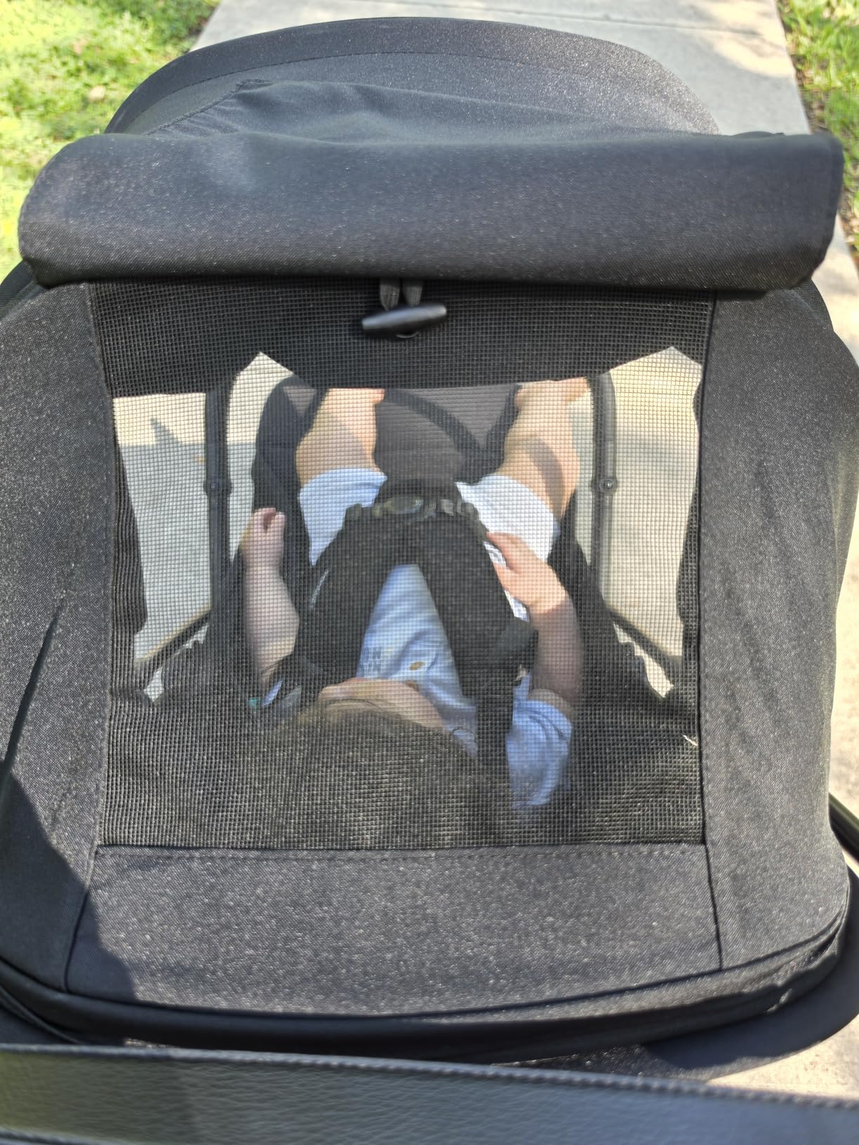 Momcozy Tuckgo Travel Stroller, Carry-On Compatible, Ultra Compact Stroller for Toddler, Reclining Seat, UPF 50+ Canopy, Adjustable Leg Rest, 33L Extra-Large Storage, Stroller Travel Bag Included customer photo 1