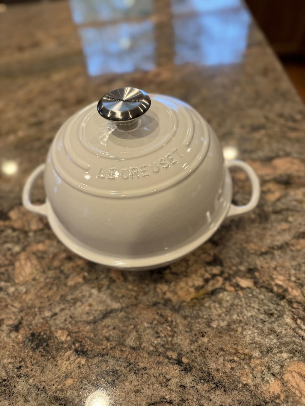 Le Creuset Enameled Cast Iron Signature Oval Bread Oven, 11.5 inch, Sea Salt customer photo 2