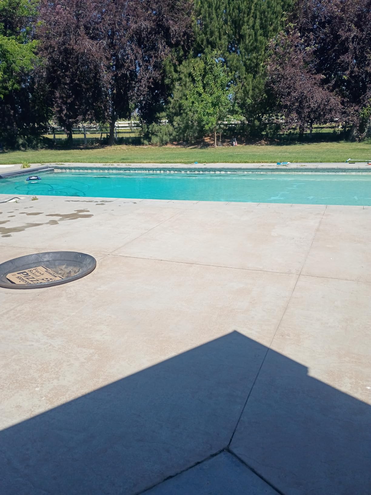 Salt Cell for Pool - Fits for Pentair Salt Cell, Upgraded Flow Switch with Temp/Salinity Sensor customer photo 2