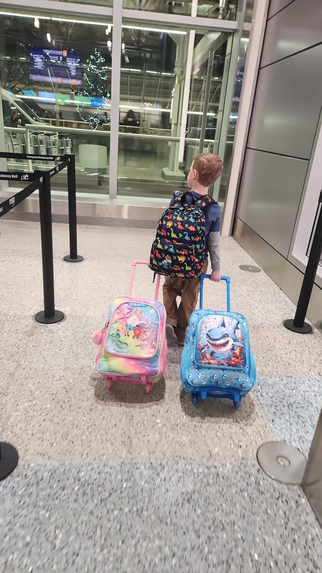 5Pcs Kids Luggage Set, 16'' Girls Travel Suitcase with Spinner Wheels, Butterfly Hardside Carry on Toddler Rolling Suitcase Airline Approved (Pink) customer photo 2
