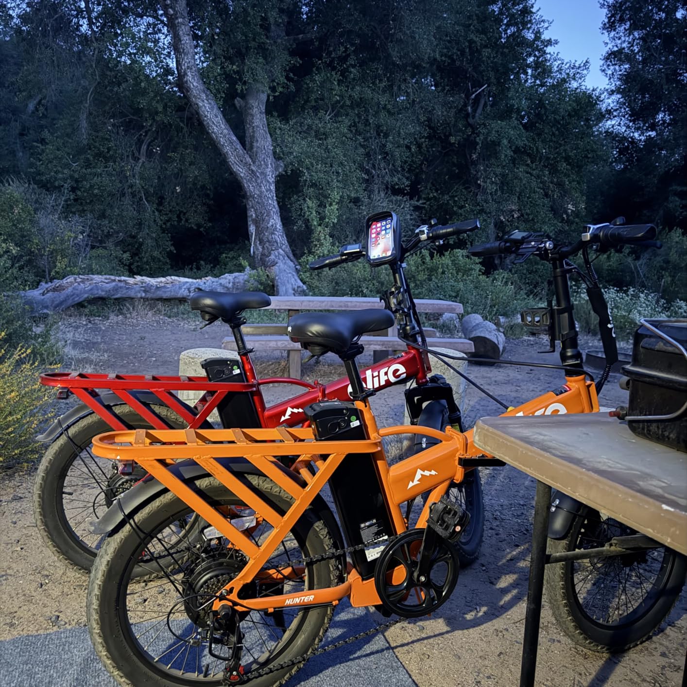 Qlife Hunter Foldable Electric Bike for Adults, Peak 1200W Ebike with 48V 13.5Ah Battery, 65-Mile Range customer photo 1