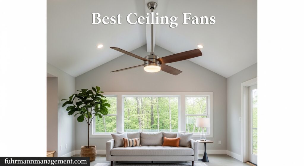 Best Ceiling Fans
