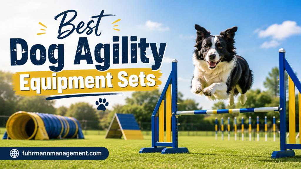 Best Dog Agility Equipment Sets