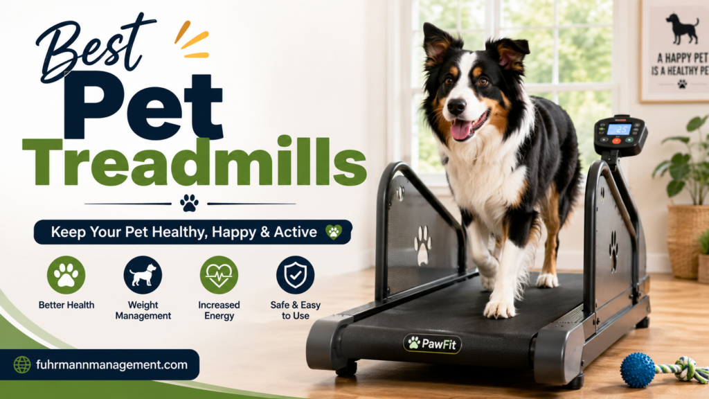 Best Pet Treadmills