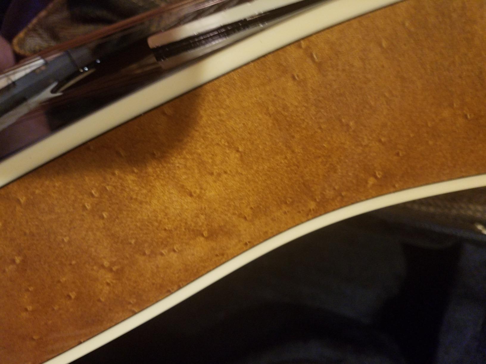 Trinity College TM-325 Celtic Octave Mandolin with Gig Bag - Solid Sitka Spruce Top, Maple Back & Sides customer photo 1