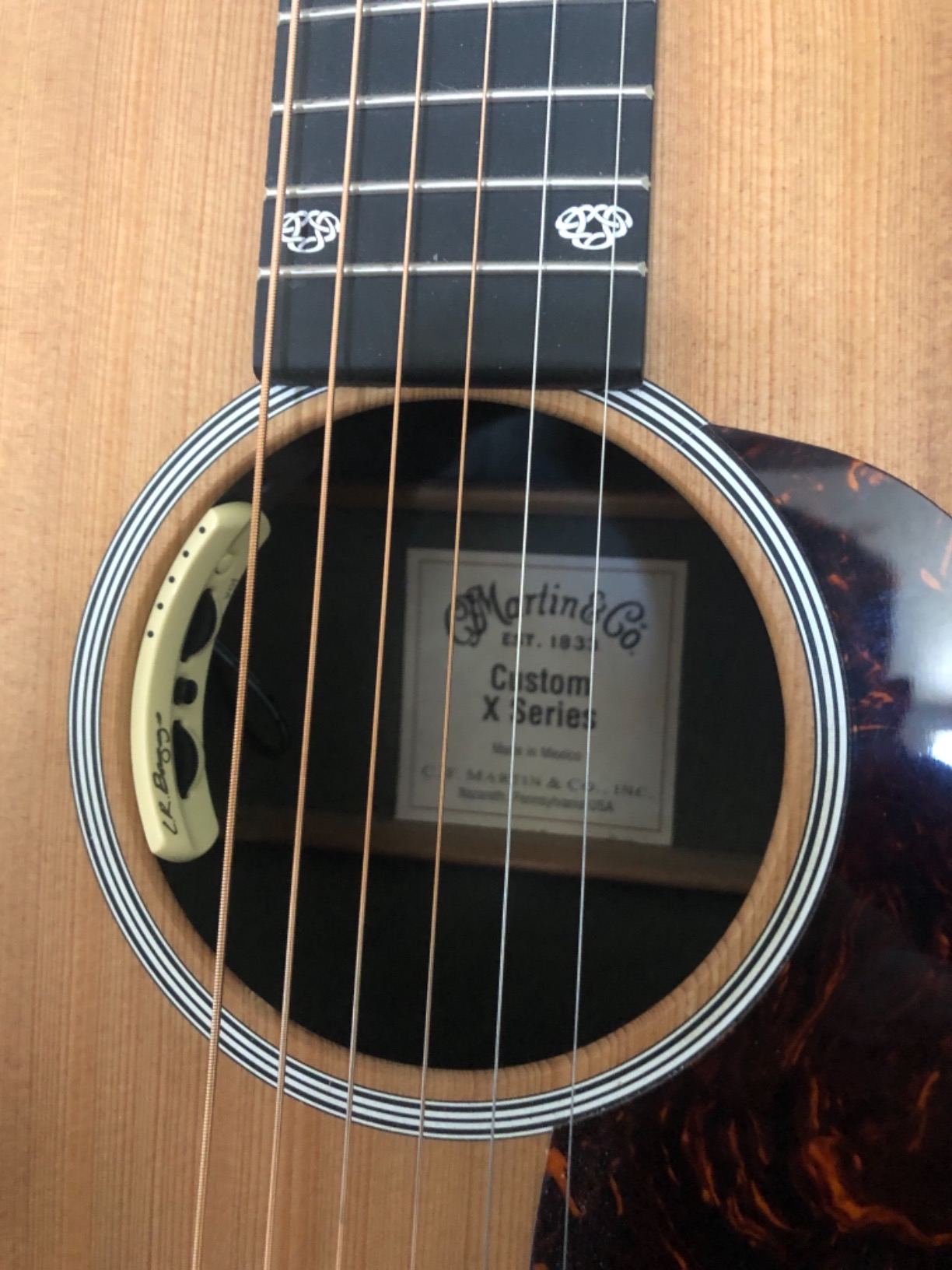 L.R. Baggs Anthem Acoustic Guitar Pickup and Microphone customer photo 2