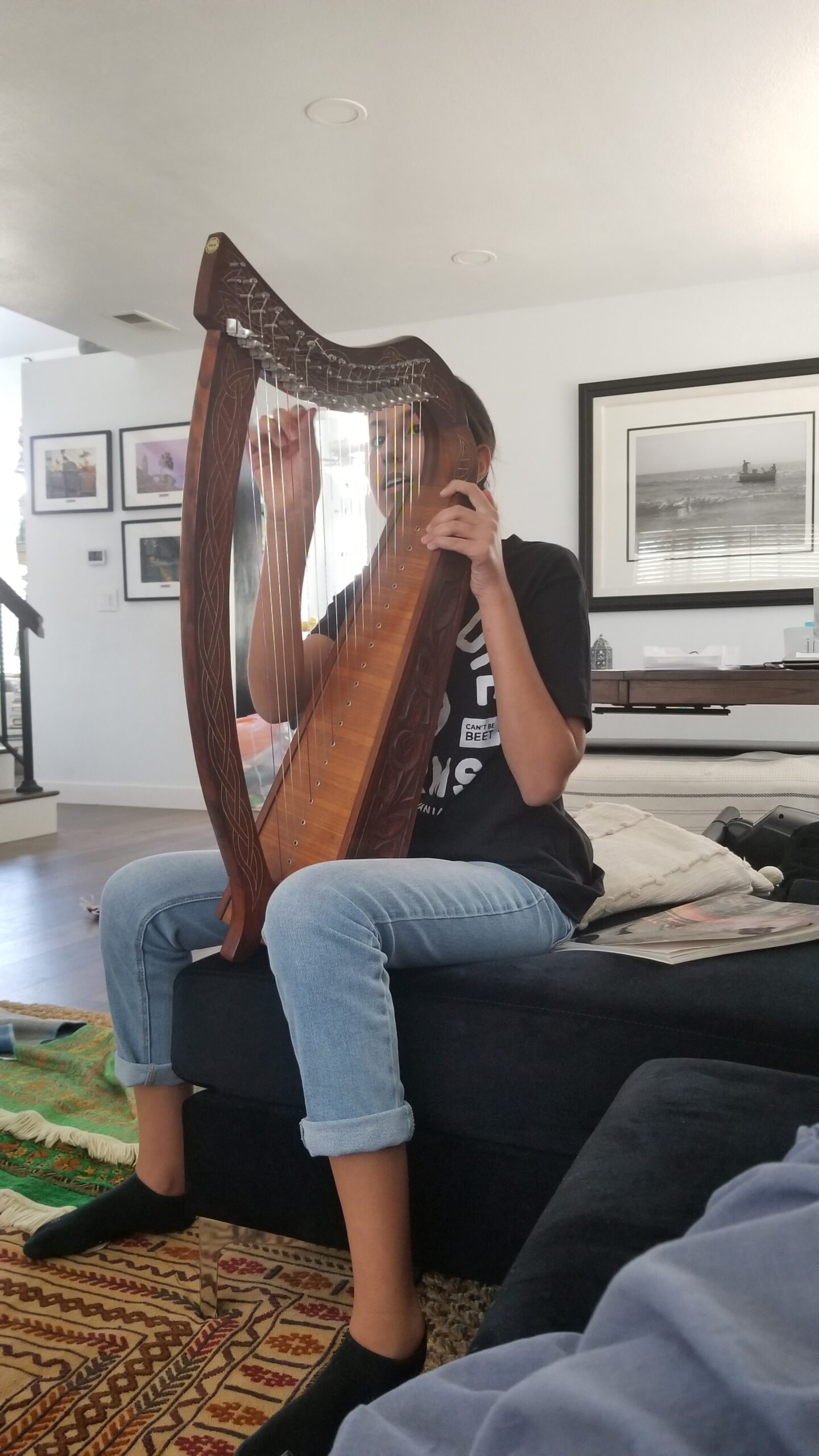 Roosebeck Harp String Set, 19, F - C customer photo 1