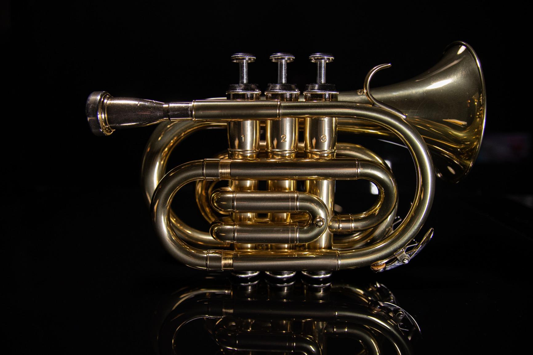 Stagg WS - TR245 Bb Pocket Trumpet with Case 6.00 x 3.00 x 8.00 inches customer photo 1