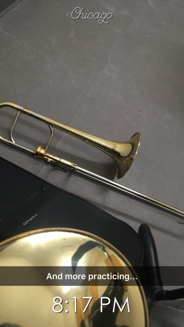 Moz Eb Alto Trombone w/Case and Mouthpiece- Gold Lacquer Finish customer photo 1